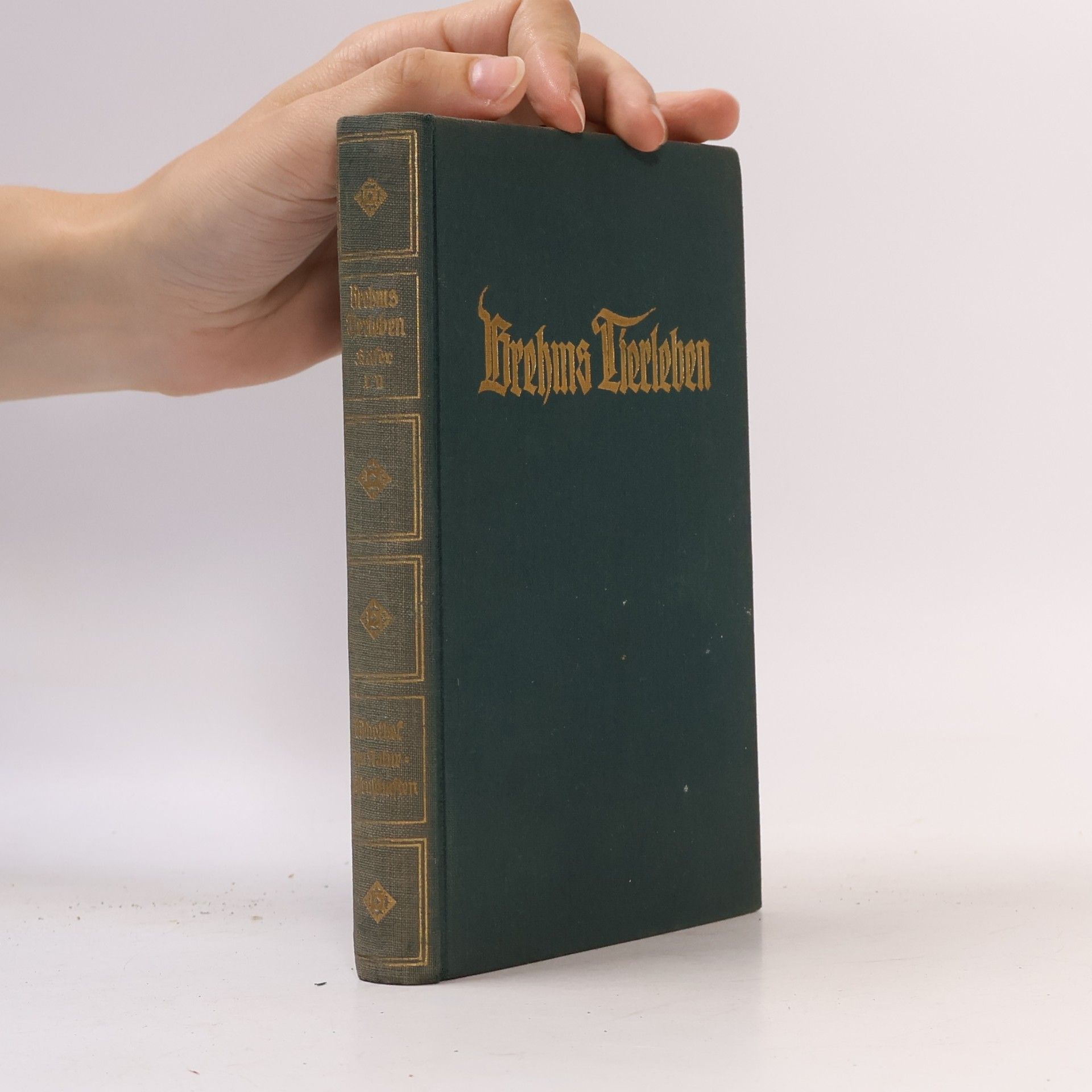 Adolf Meyer Brehms Tierleben 25