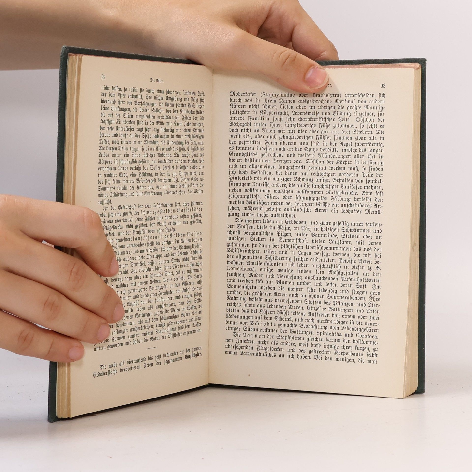 Adolf Meyer Brehms Tierleben 25