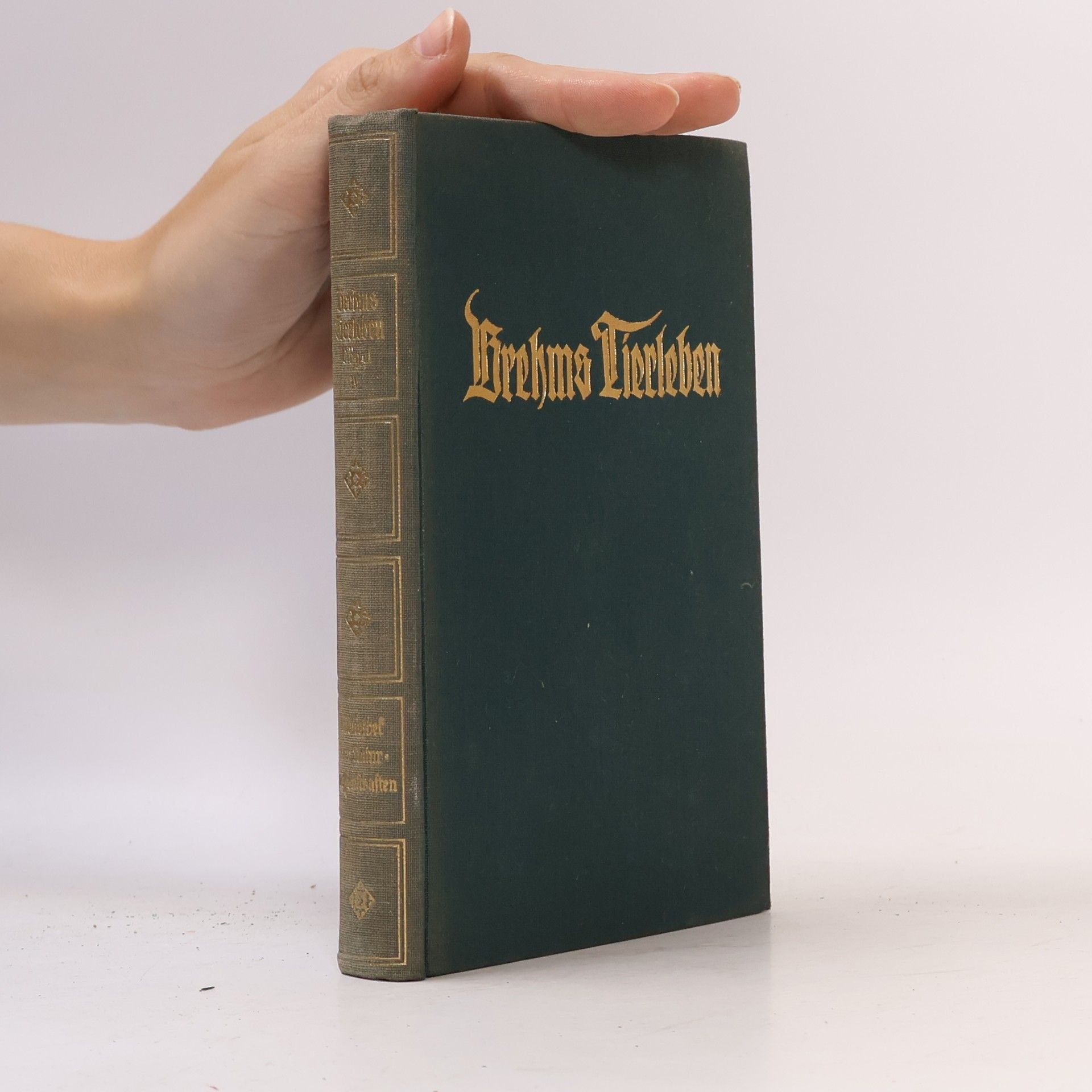 Adolf Meyer Brehms Tierleben. Band 17