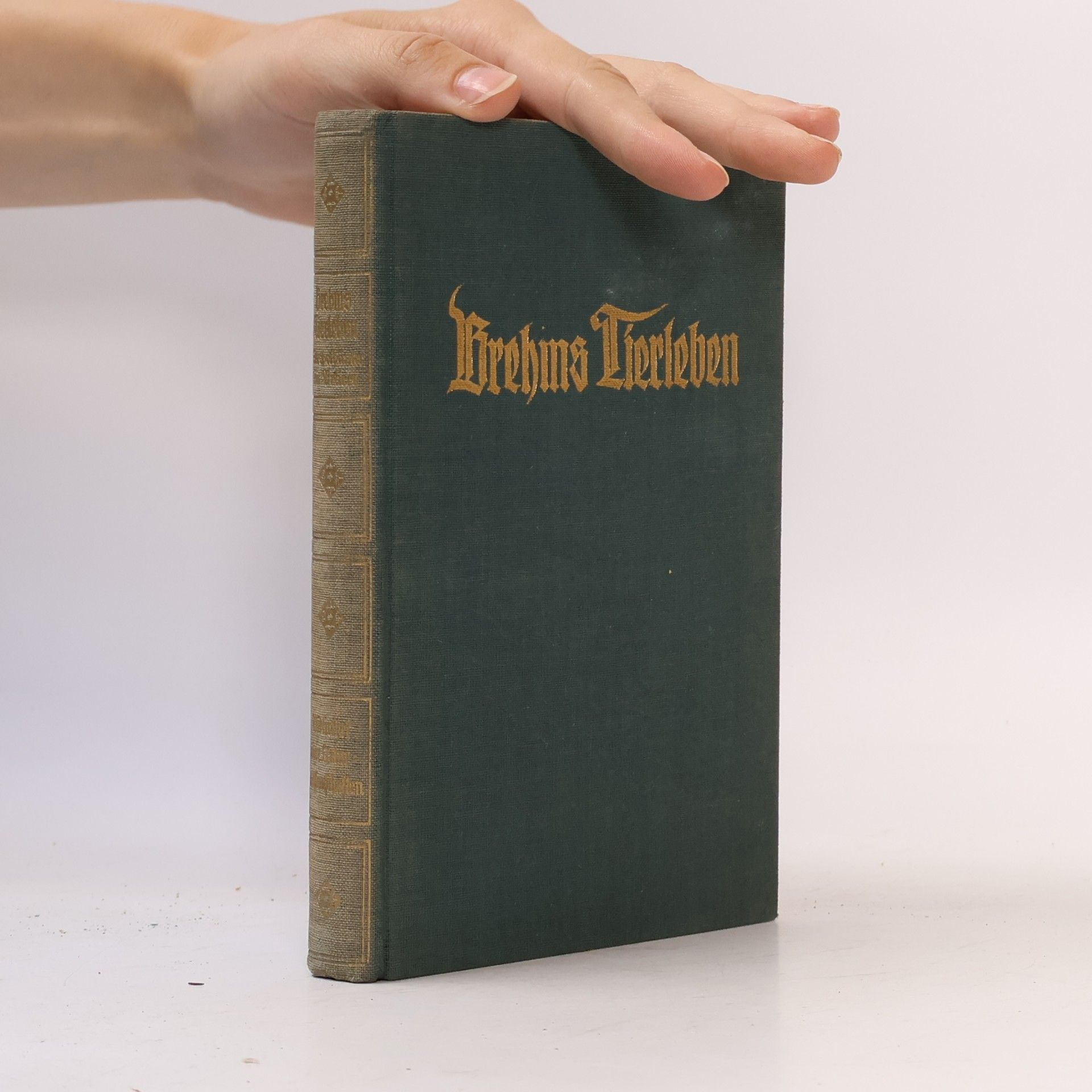 Adolf Meyer Brehms Tierleben 11. Die niederen Tiere