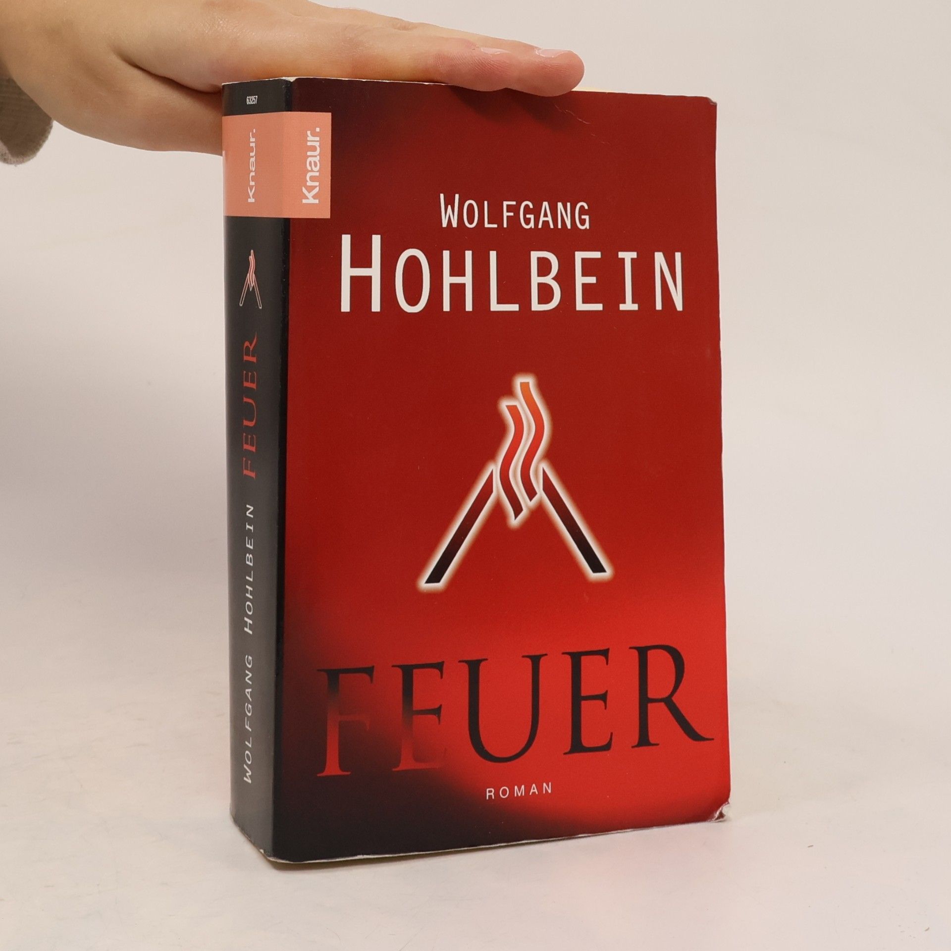 Wolfgang Hohlbein Feuer