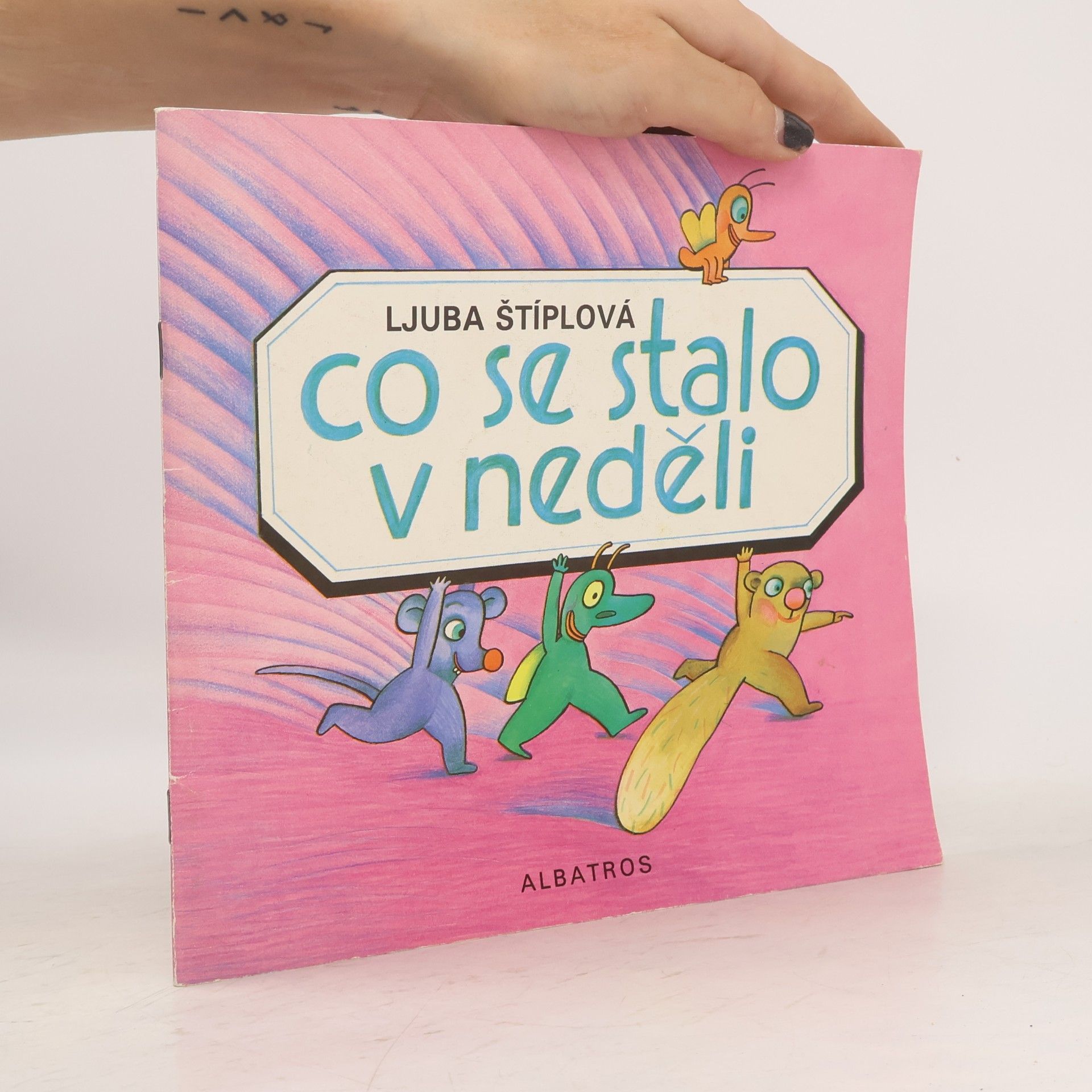 Lucie Dvořáková Co se stalo v neděli