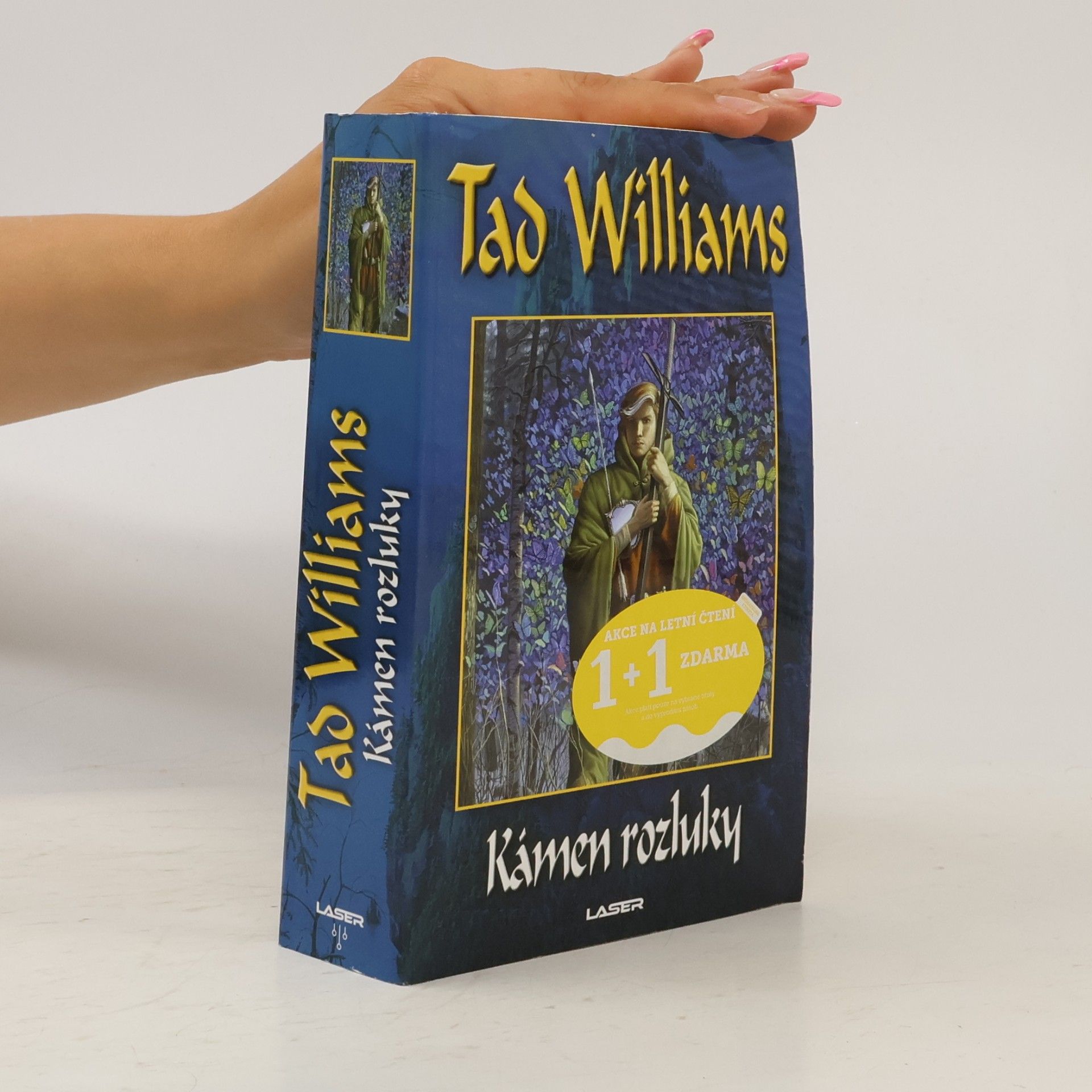 Tad Williams Kámen rozluky
