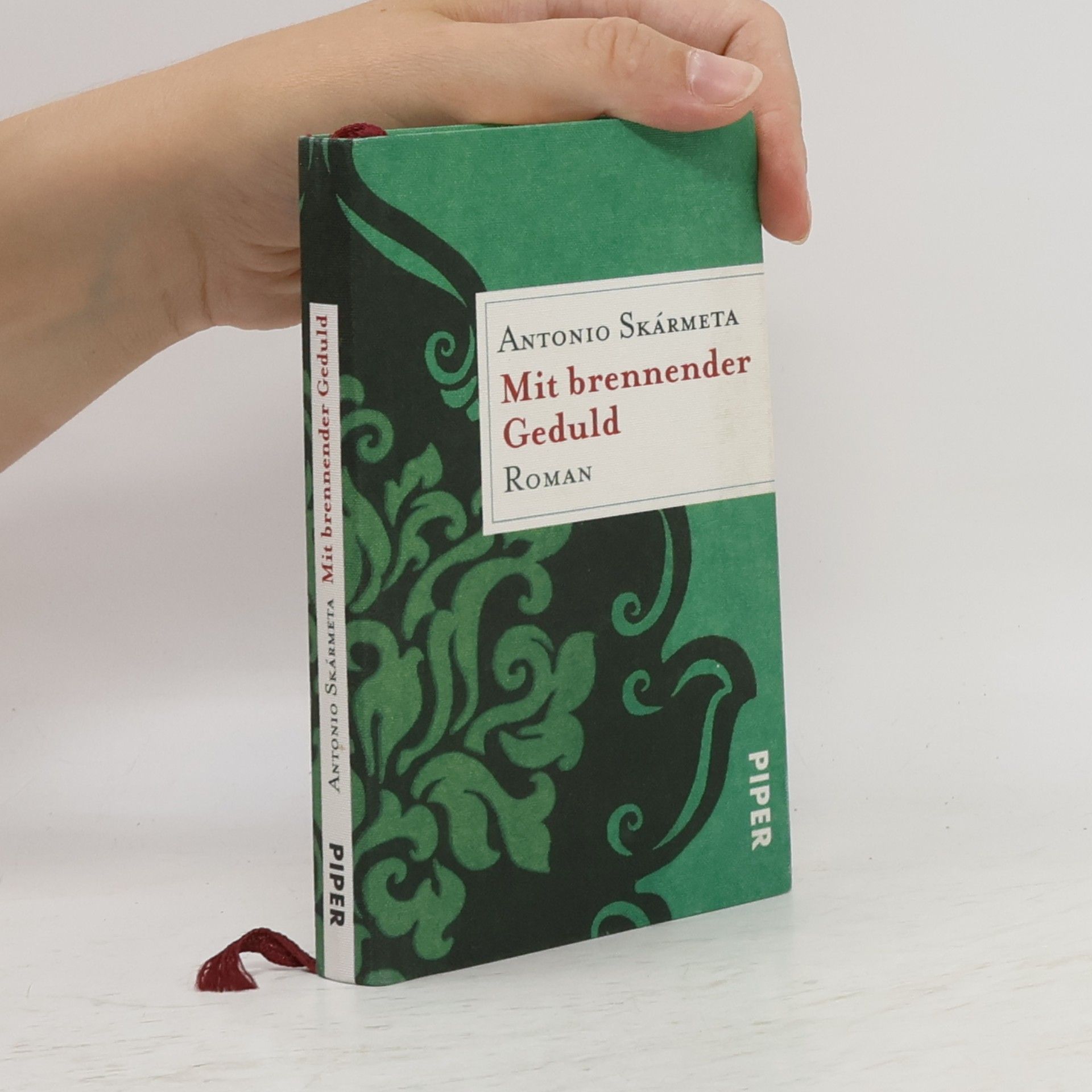 Antonio Skármeta Mit brennender Geduld