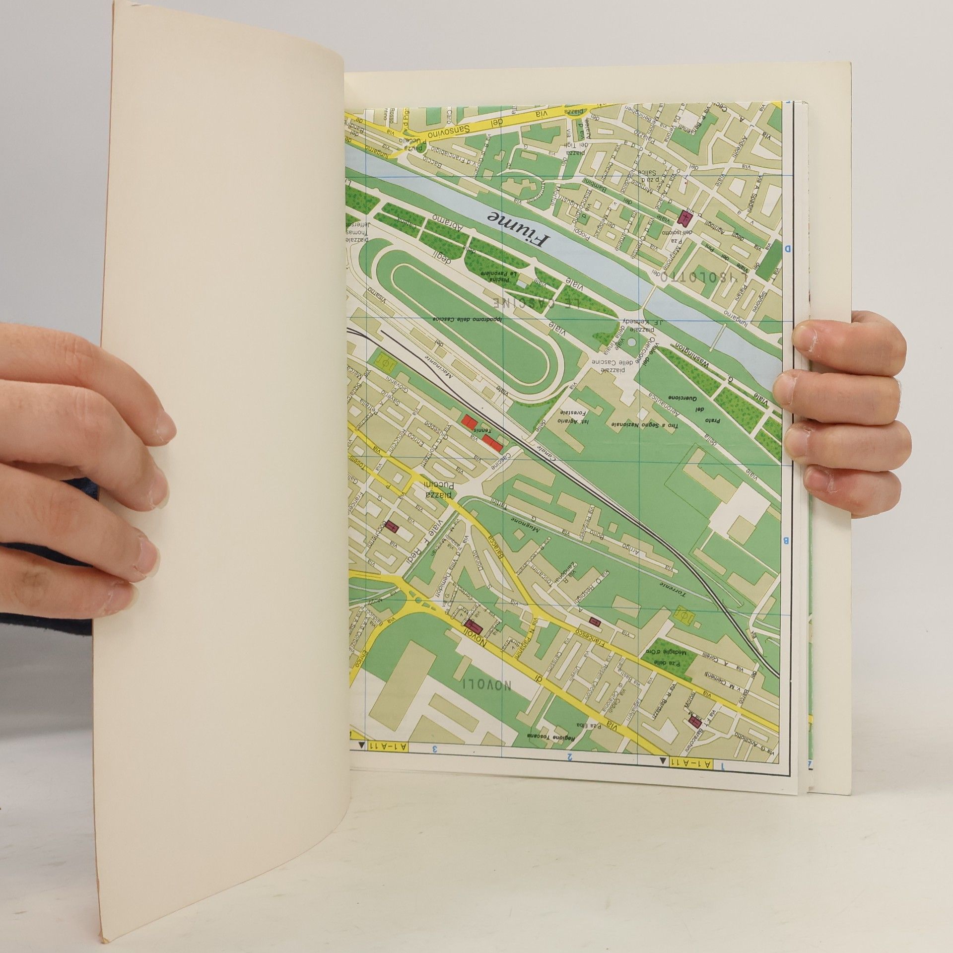 Bonechi Il libro d'oro di Firenze