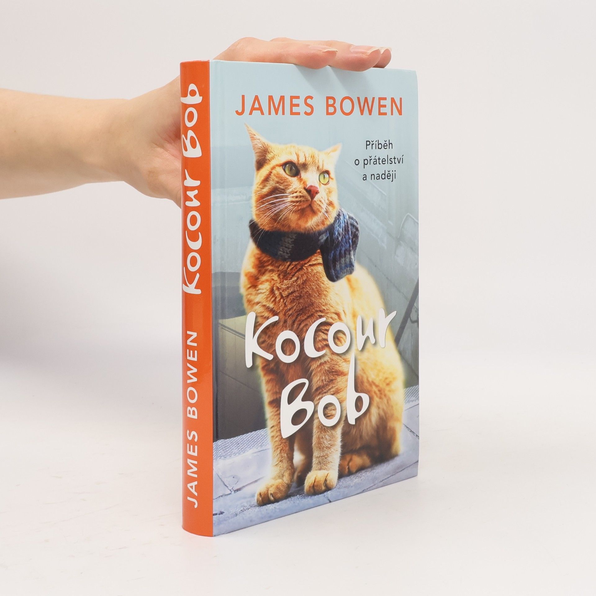 James Bowen Kocour Bob