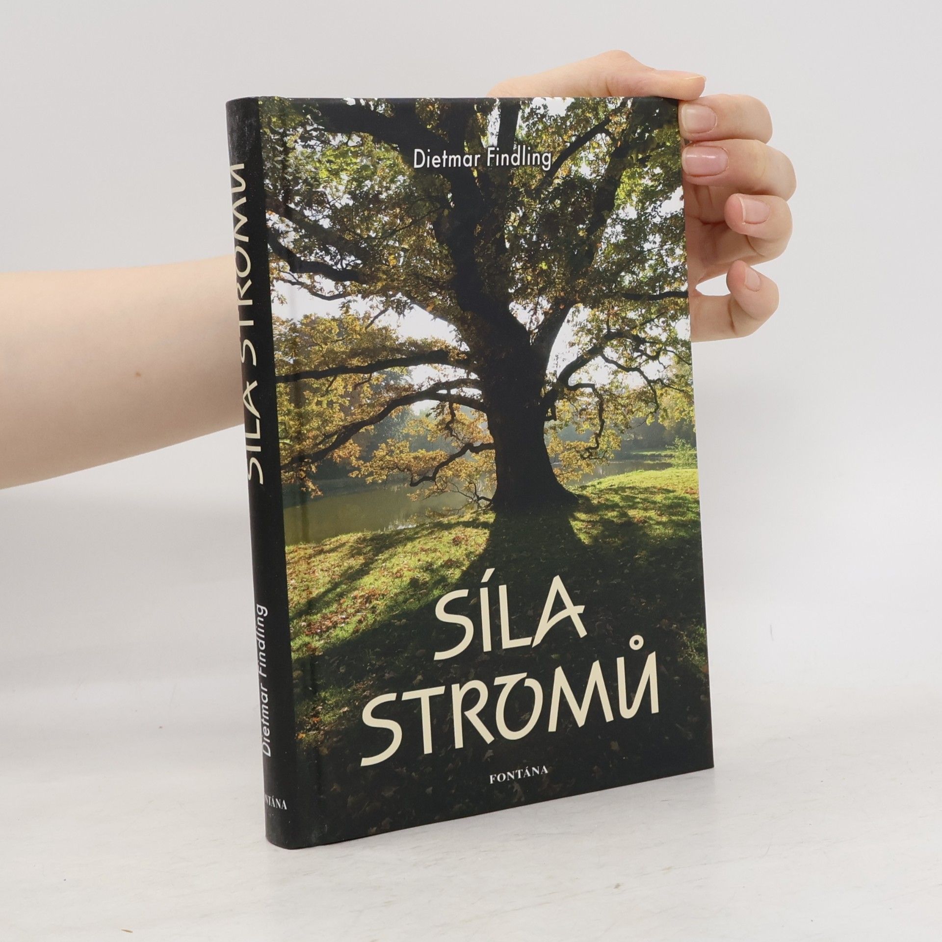 Dietmar Findling Síla stromů