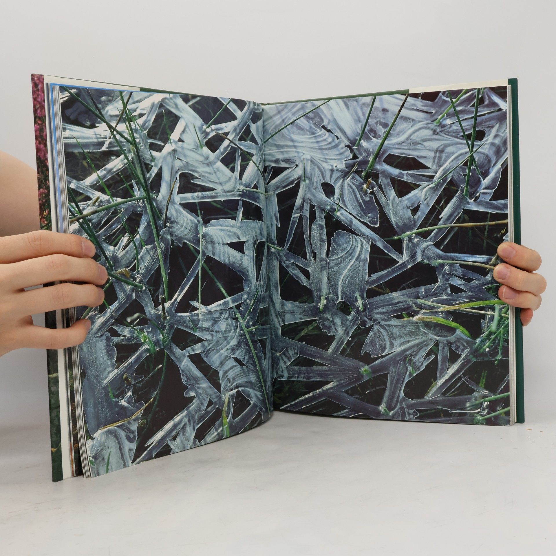 Claus-Peter Lieckfeld Naturerbe Europa. Alte Welt - Neue Chancen