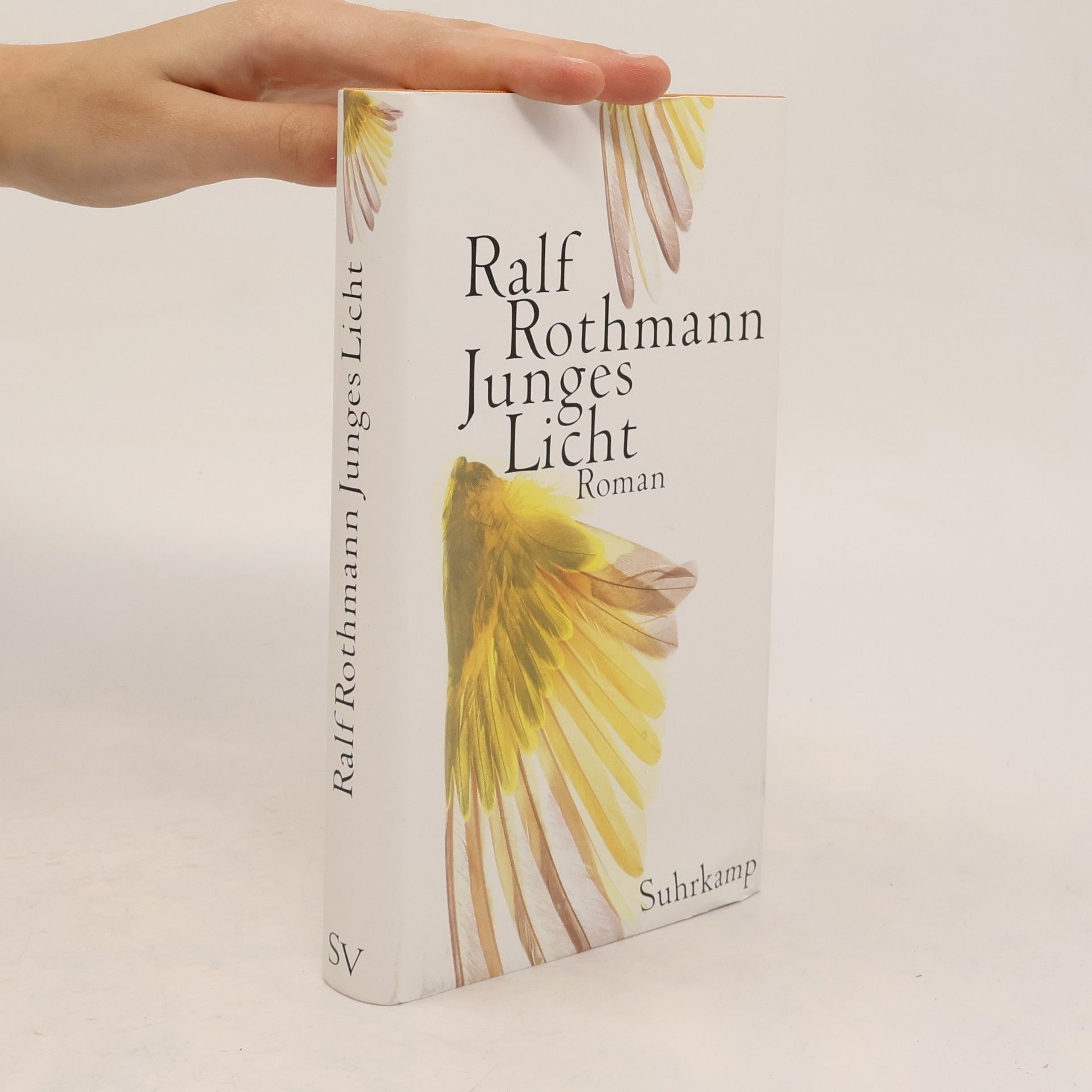 Ralf Rothmann Junges Licht