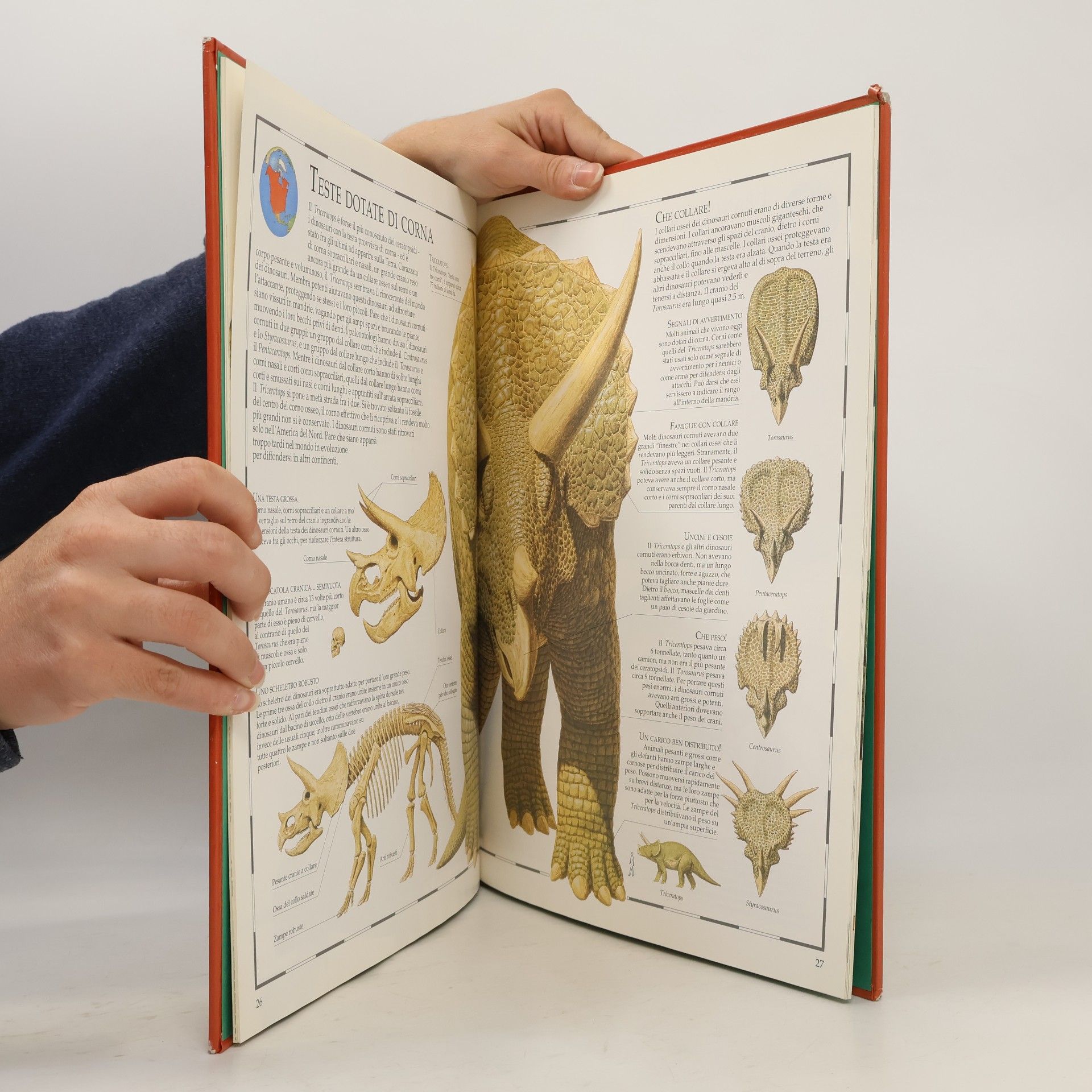 Giuliano Fornari Atlanti illustrati. 8-12 anni: Atlante illustrato dei dinosauri