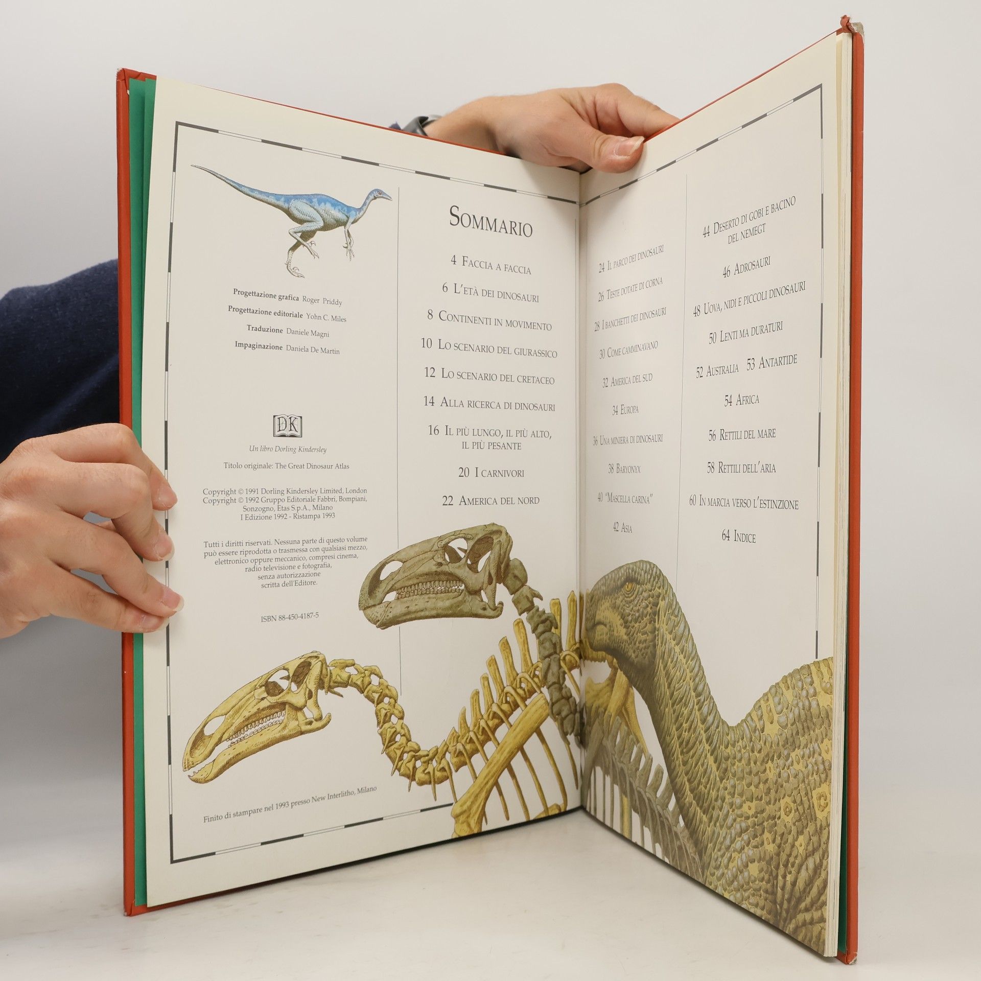 Giuliano Fornari Atlanti illustrati. 8-12 anni: Atlante illustrato dei dinosauri