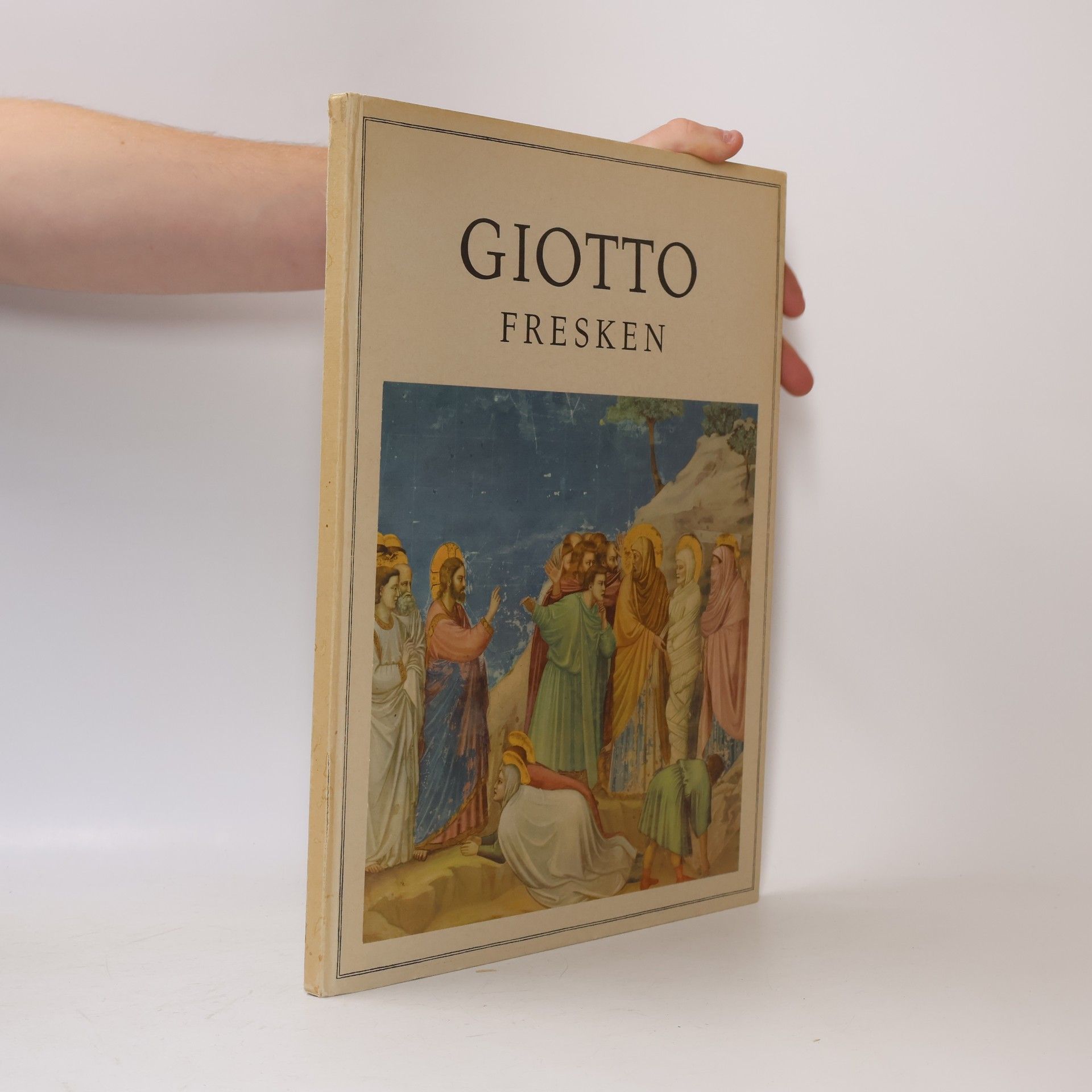 Collectif d'auteurs Giotto Fresken