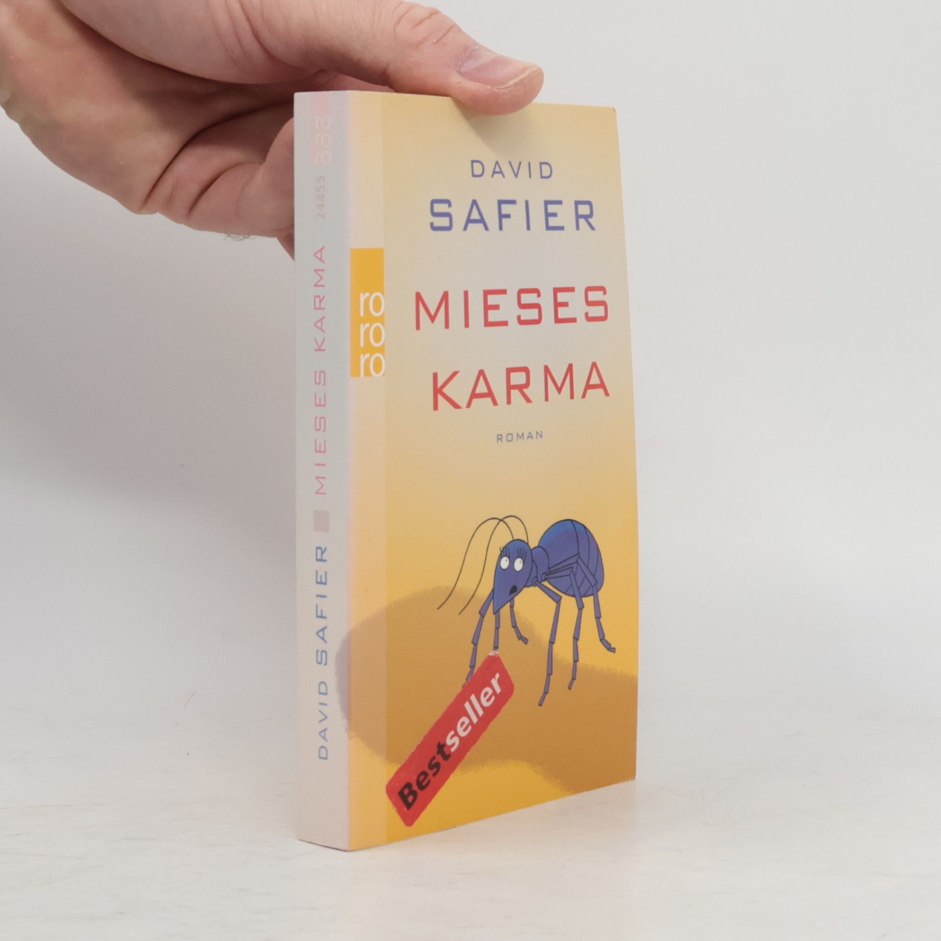 David Safier Mieses Karma