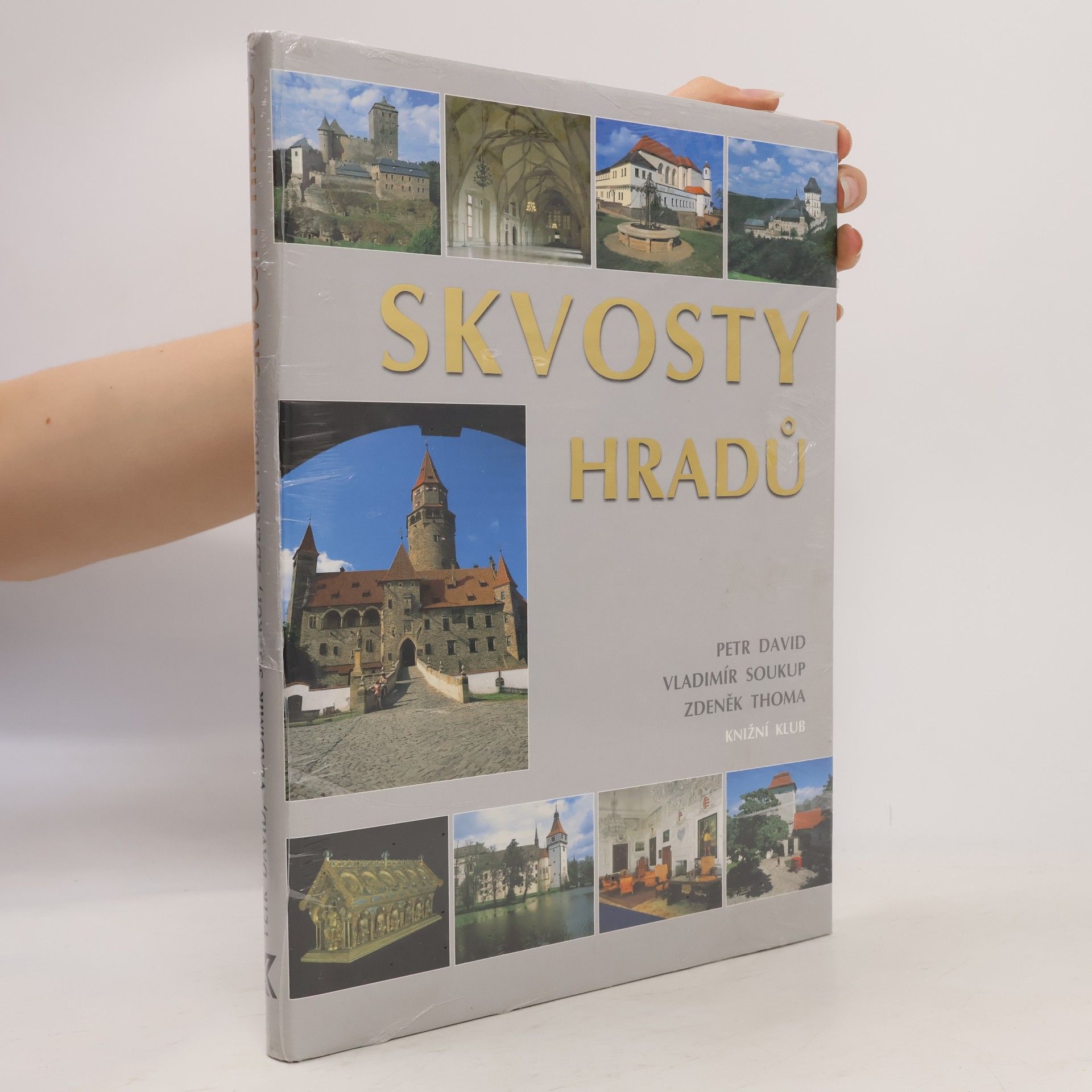 Peter David Skvosty hradů