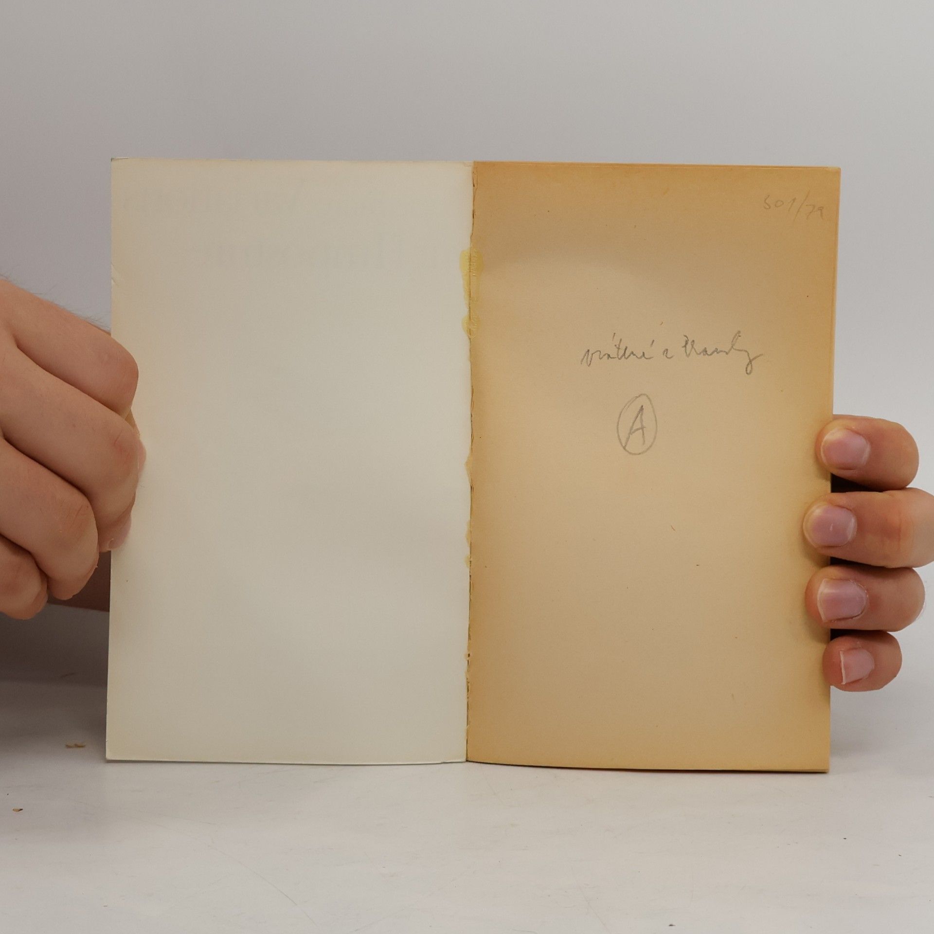 Lucie Faure Variations sur l'imposture