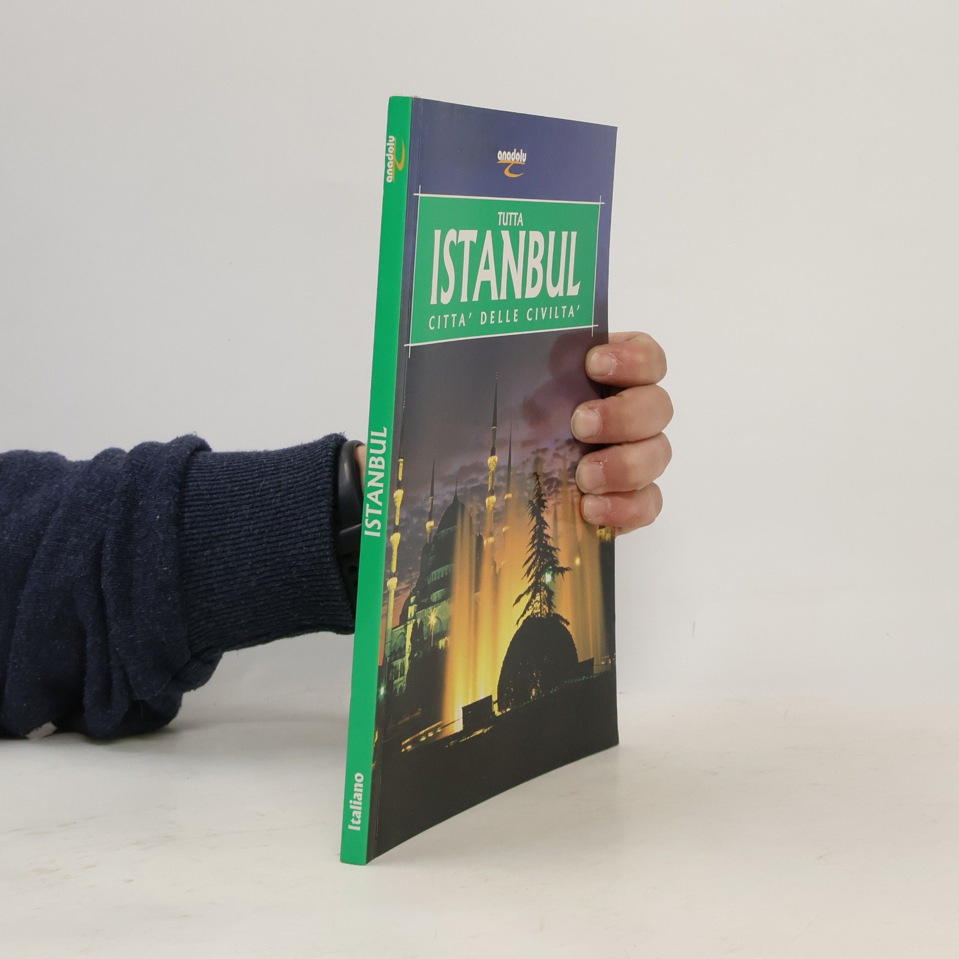 Kolektiv autorů Tutta Istanbul Citta Delle Civilta