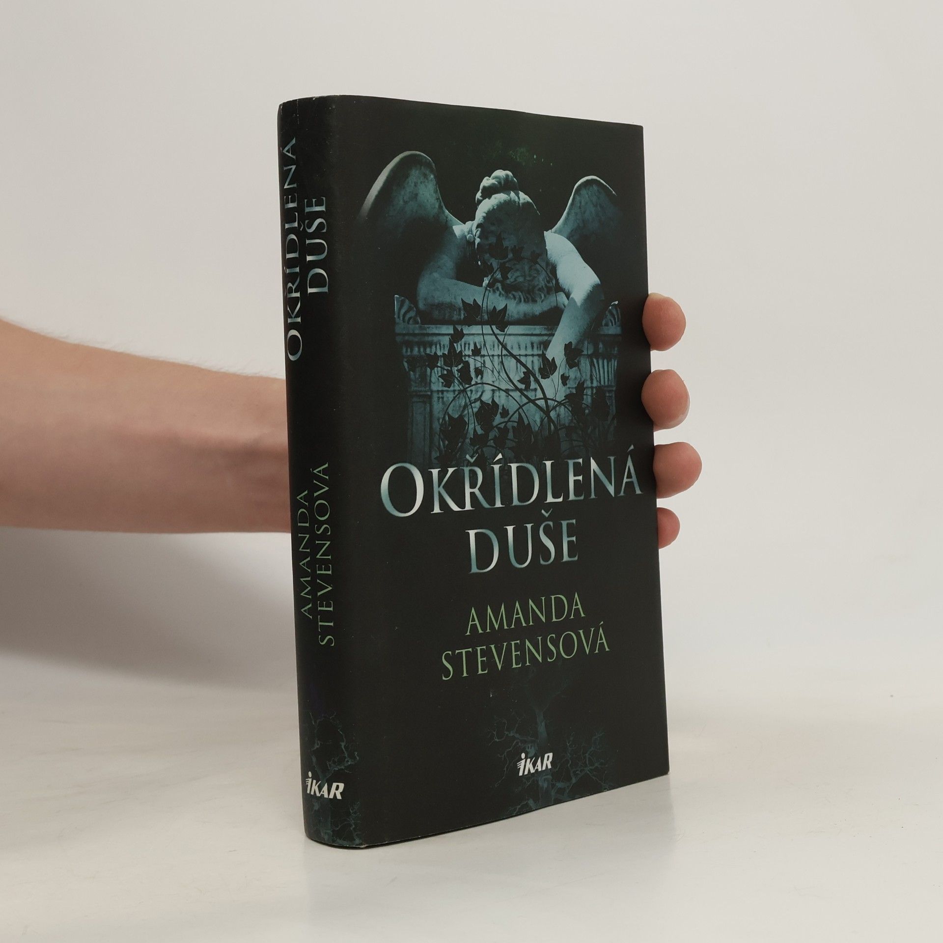 Amanda Stevens Okřídlená duše