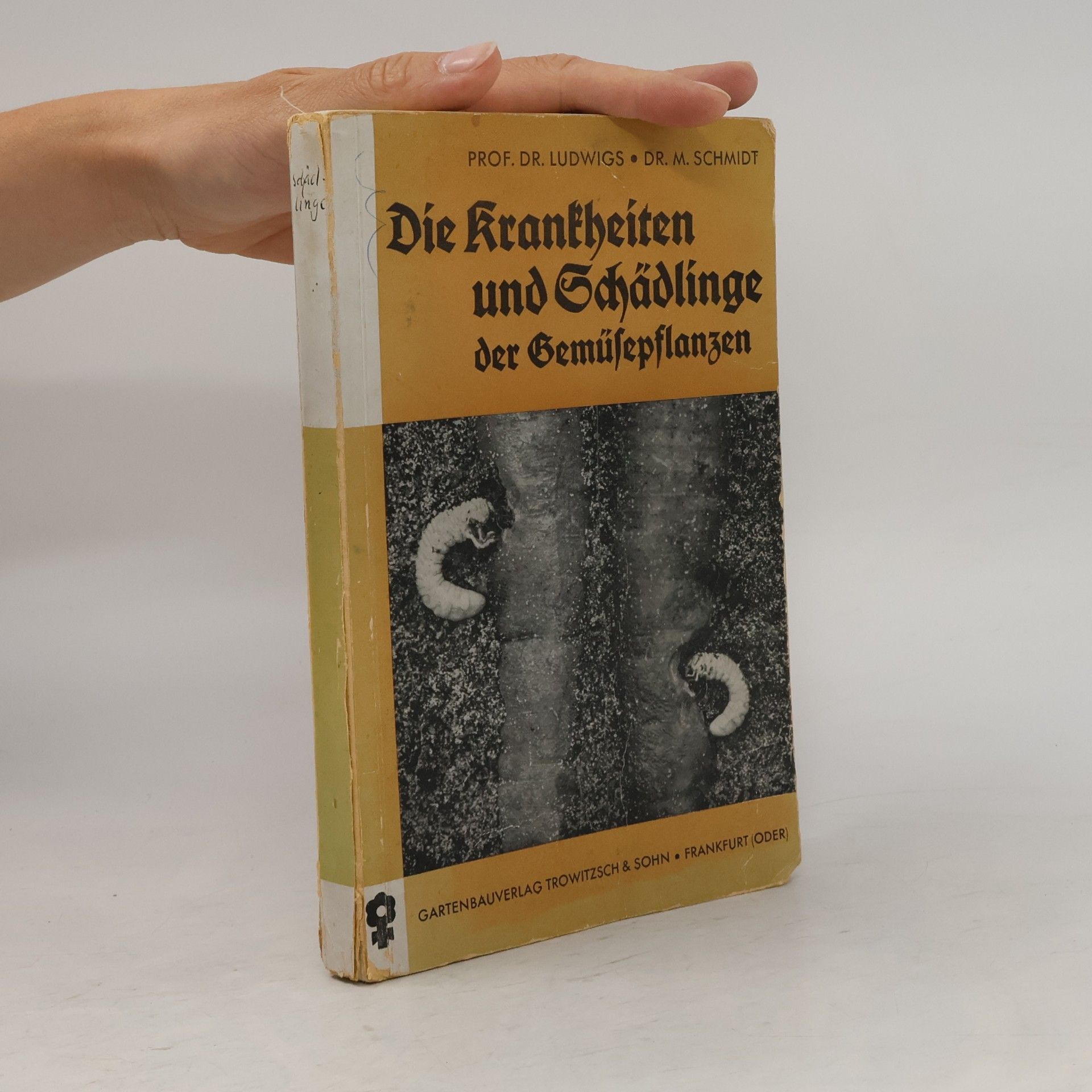 Karl Ludwigs Die Krankheiten und Schädlinge der Gemüsepflanzen der Küchenkräuter und wichtigsten Arzneipflanzen
