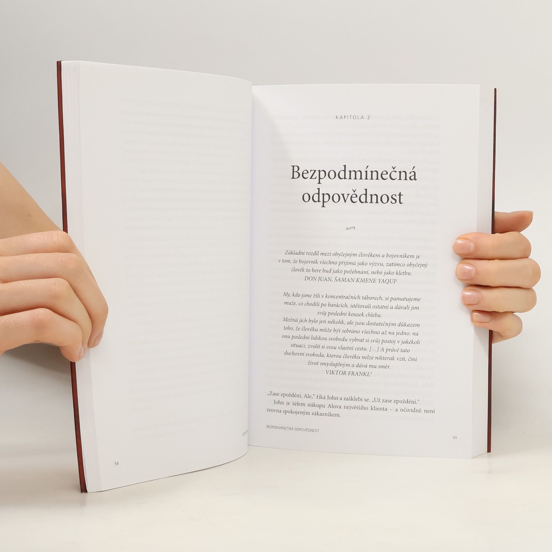 Fred Kofman Vědomý business: Integrita, úspěch a štěstí