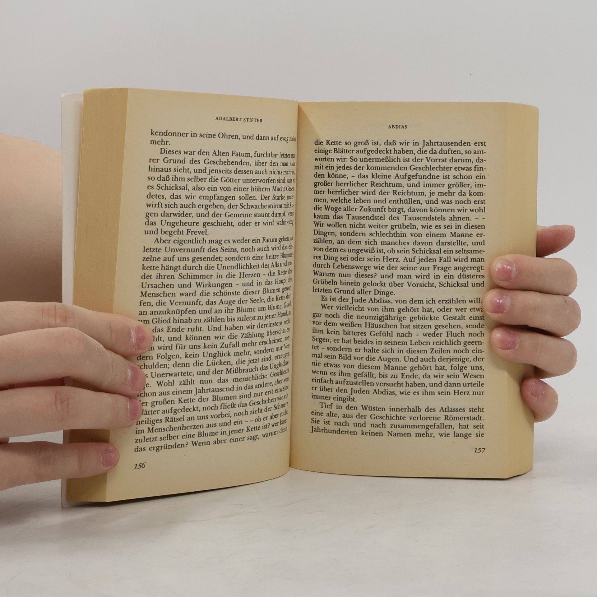 Adalbert Stifter Der Hagestolz