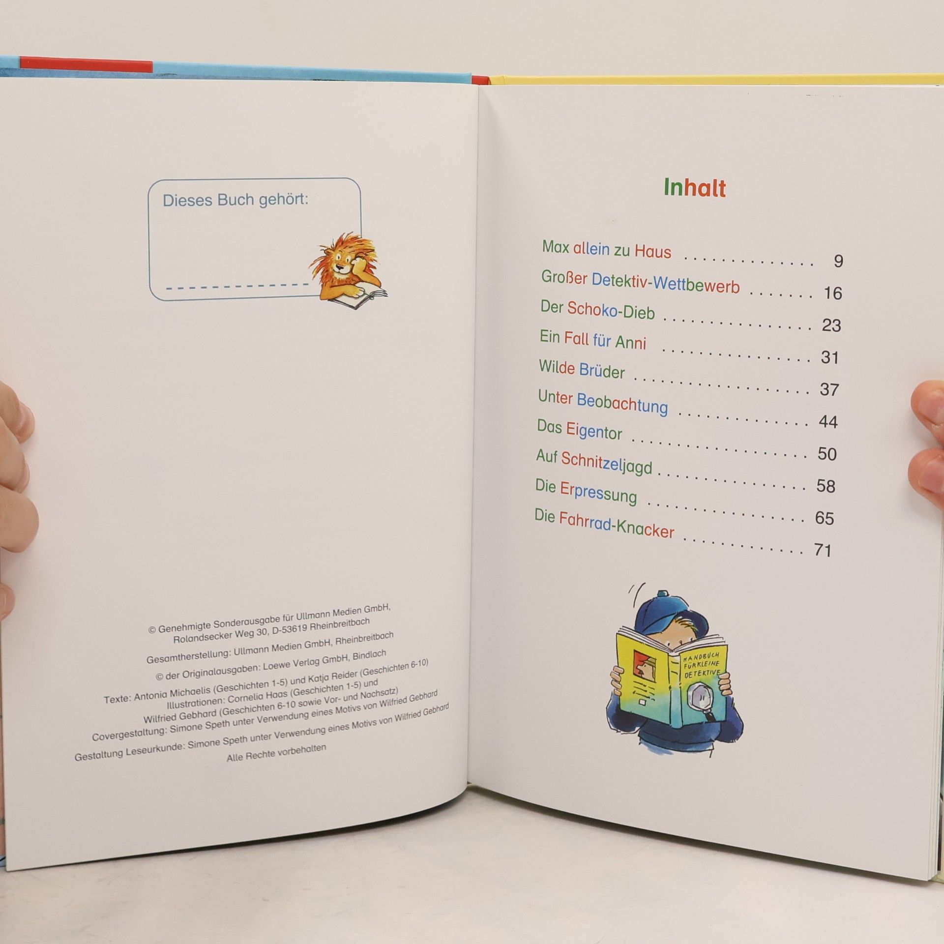 Kolektiv autorů Leselöwen. Detektivgeschichten