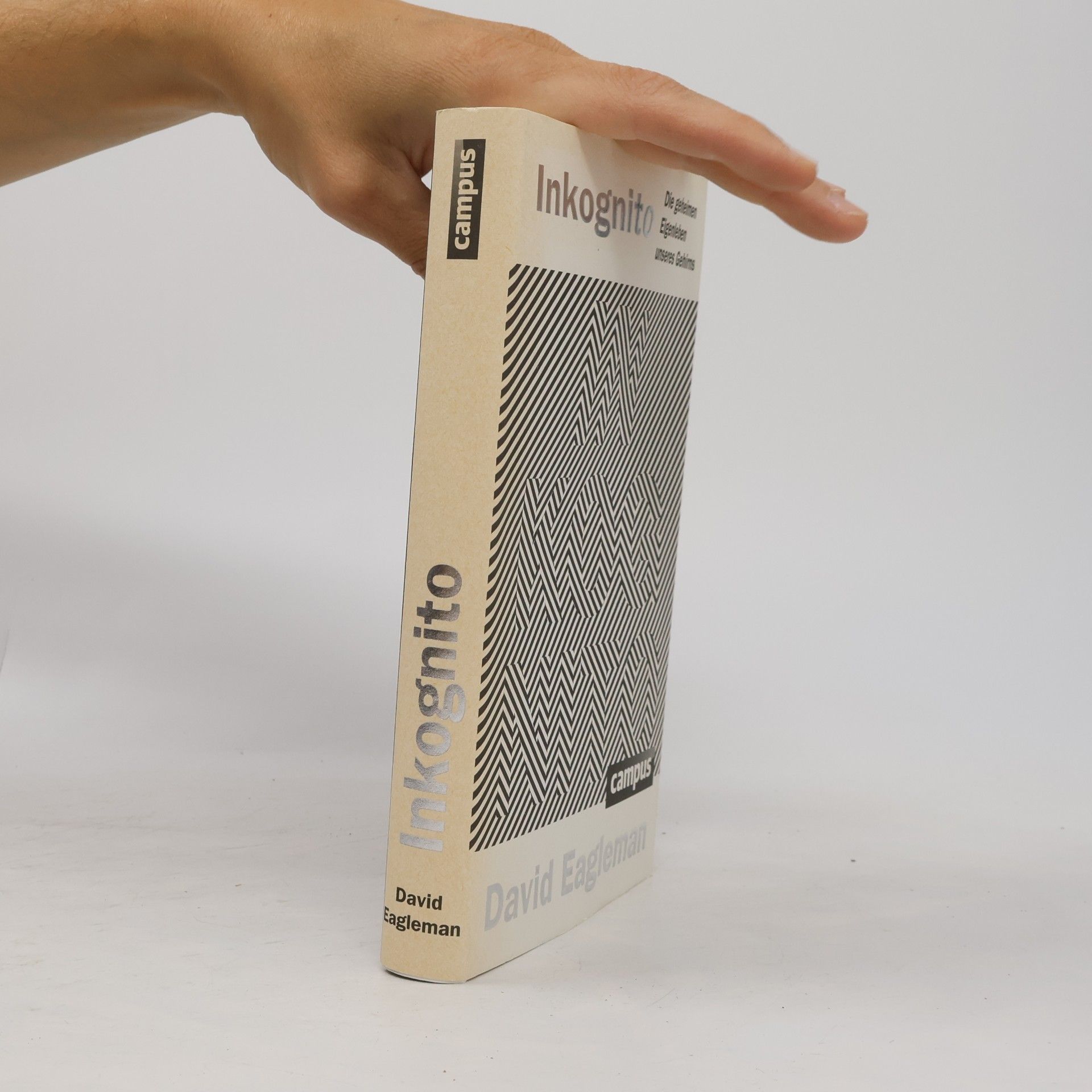 David Eagleman Inkognito