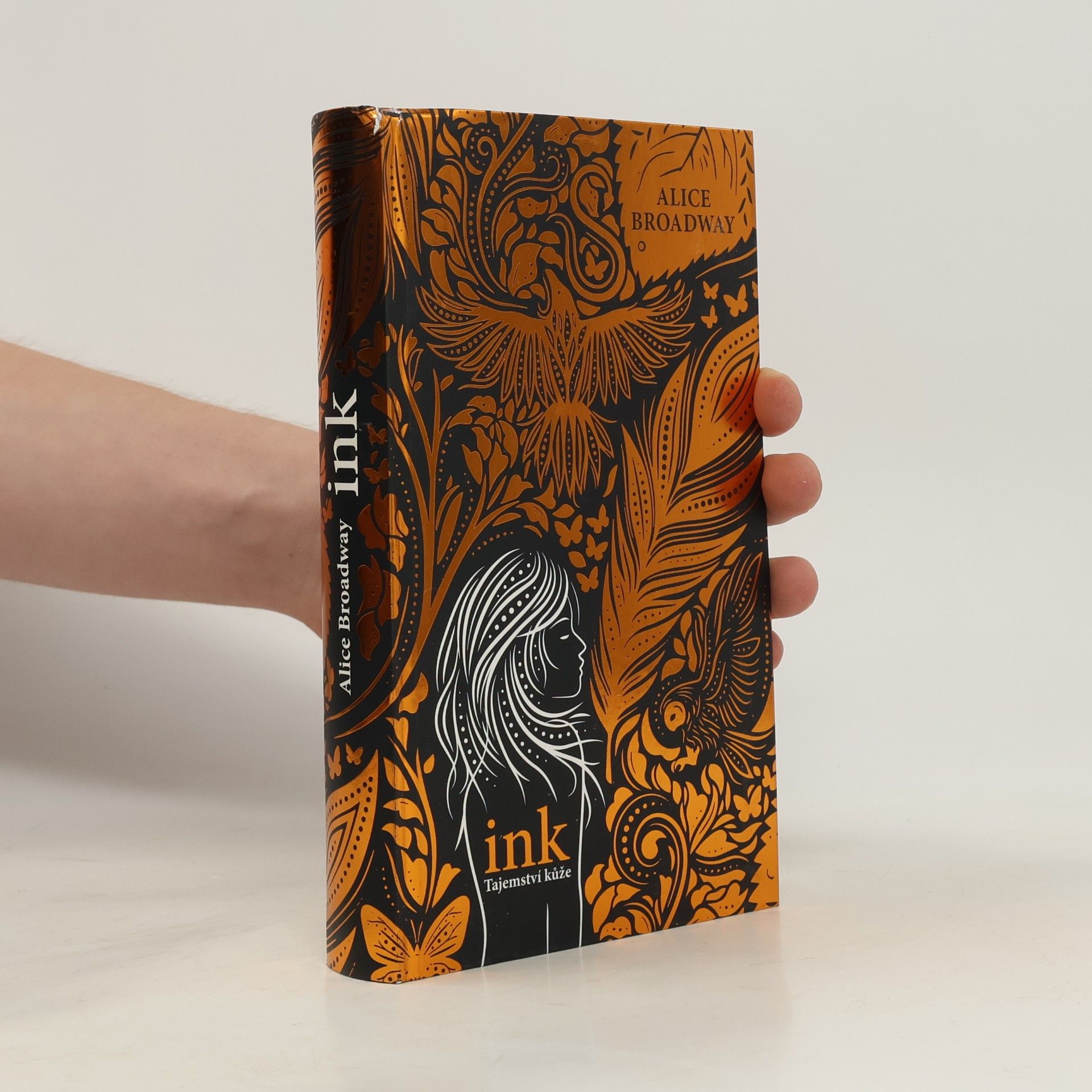 Alice Broadway Ink. Tajemství kůže