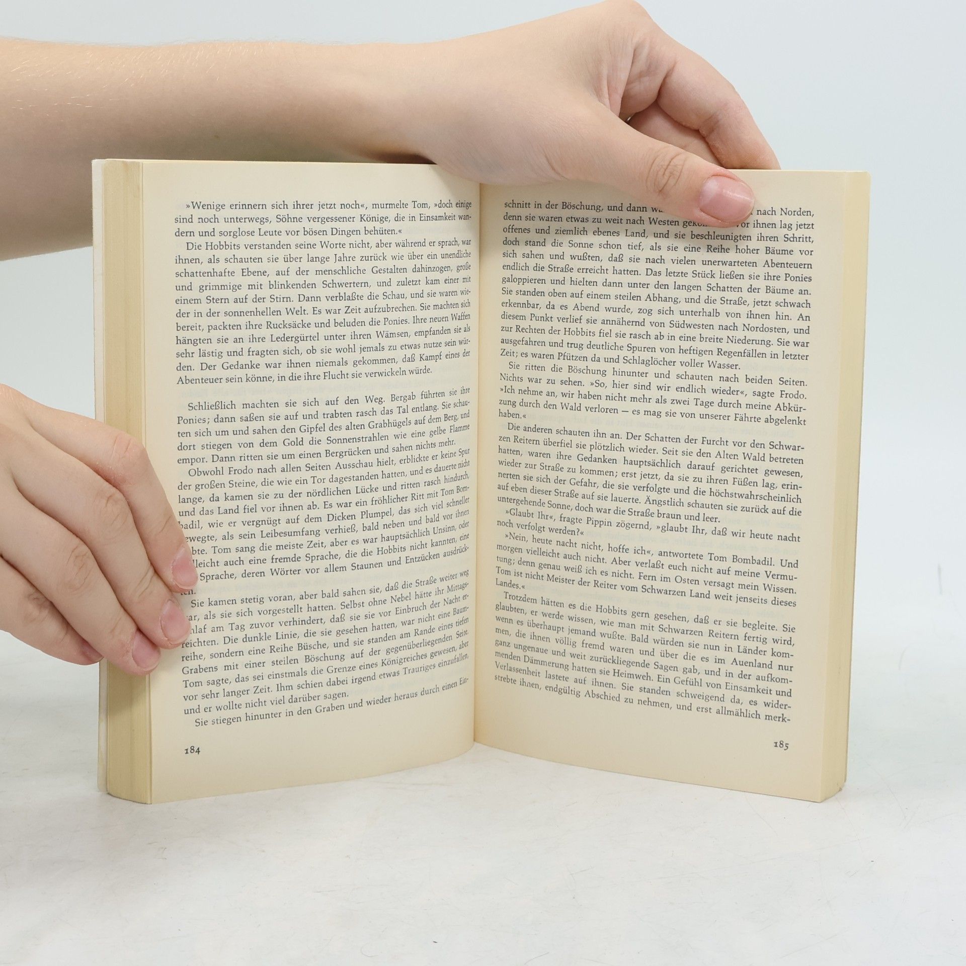 J. R. R. Tolkien Der Herr der Ringe 1-3