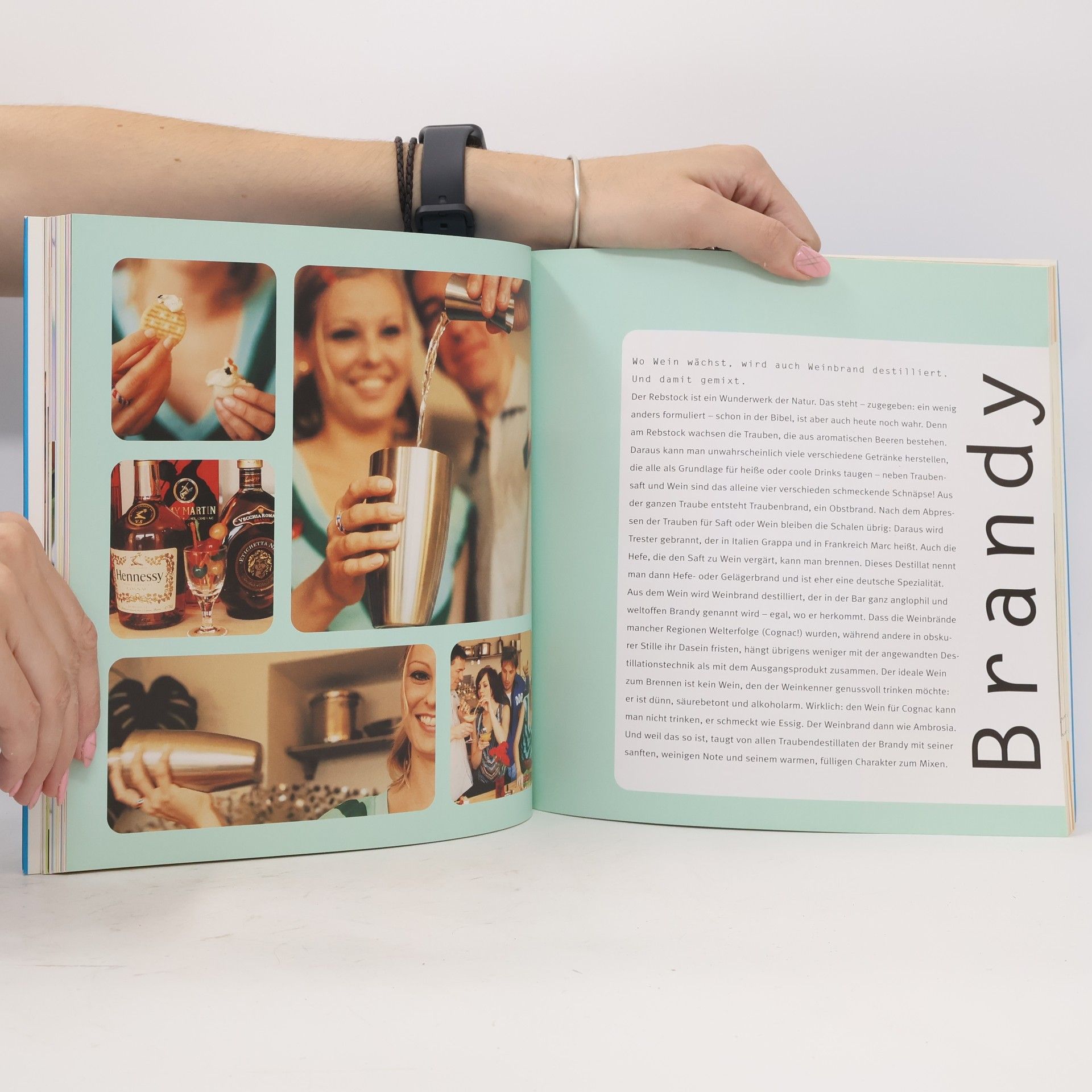 Bibiana Behrendt Cocktail-Basics