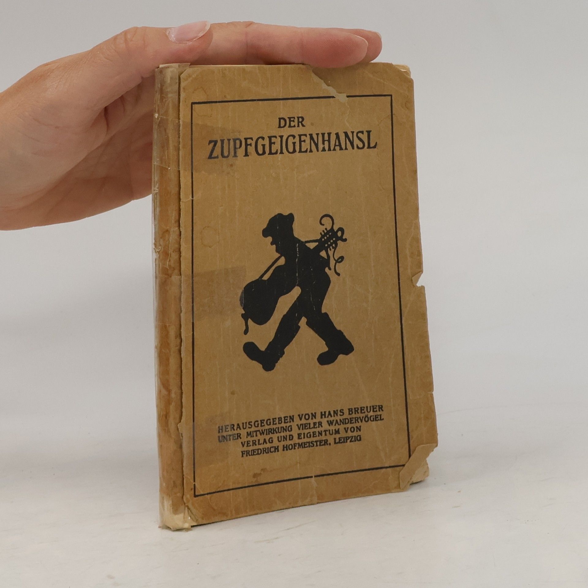 Hans Breuer Der Zupsgeigenhansl