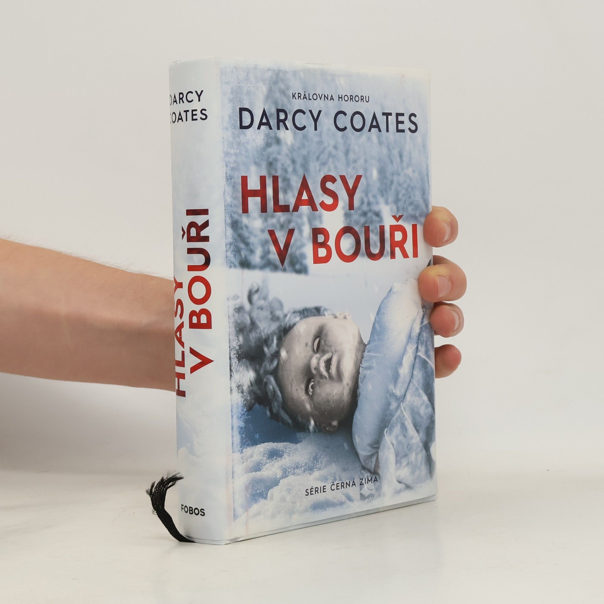 Darcy Coates Hlasy v bouři