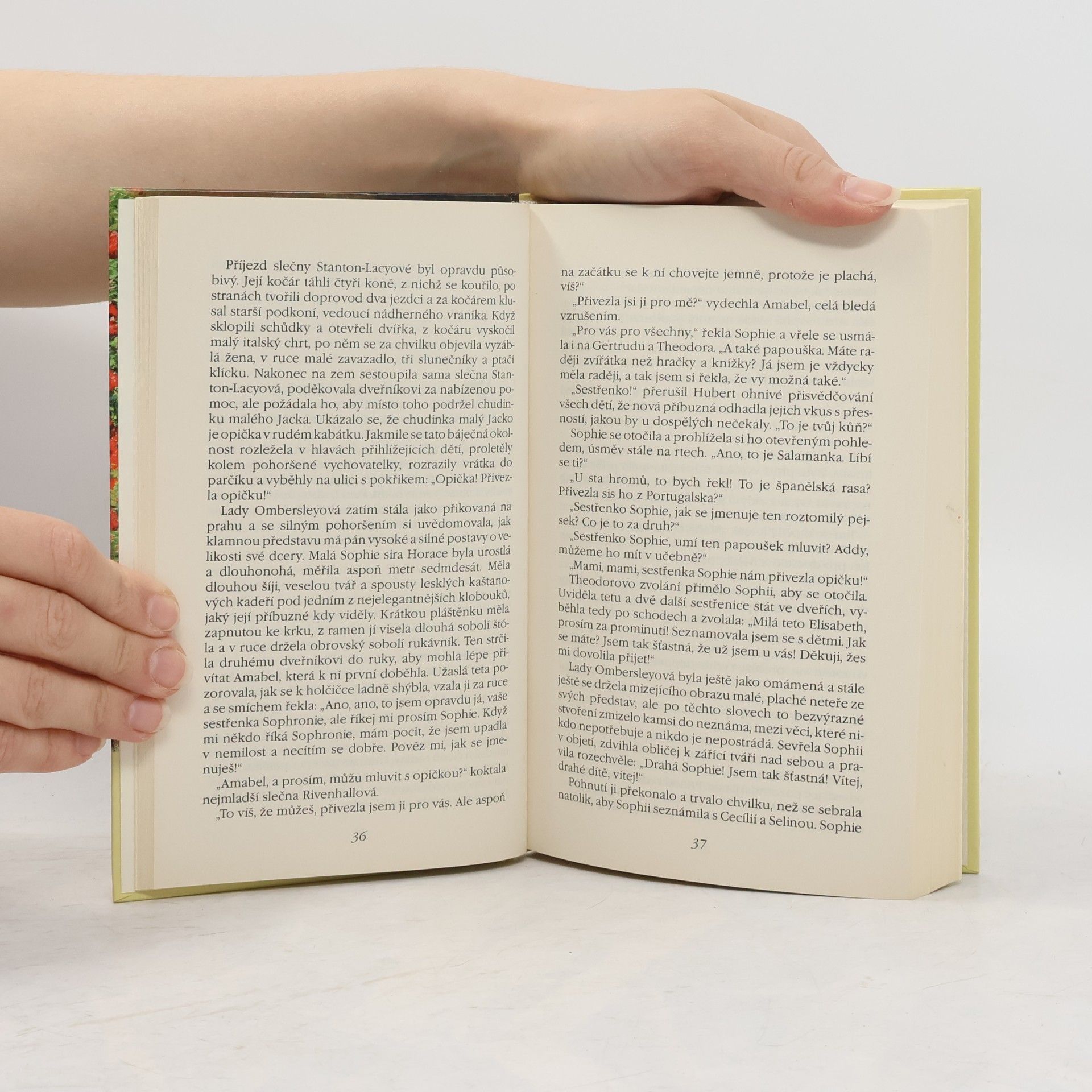 Georgette Heyer Sophie