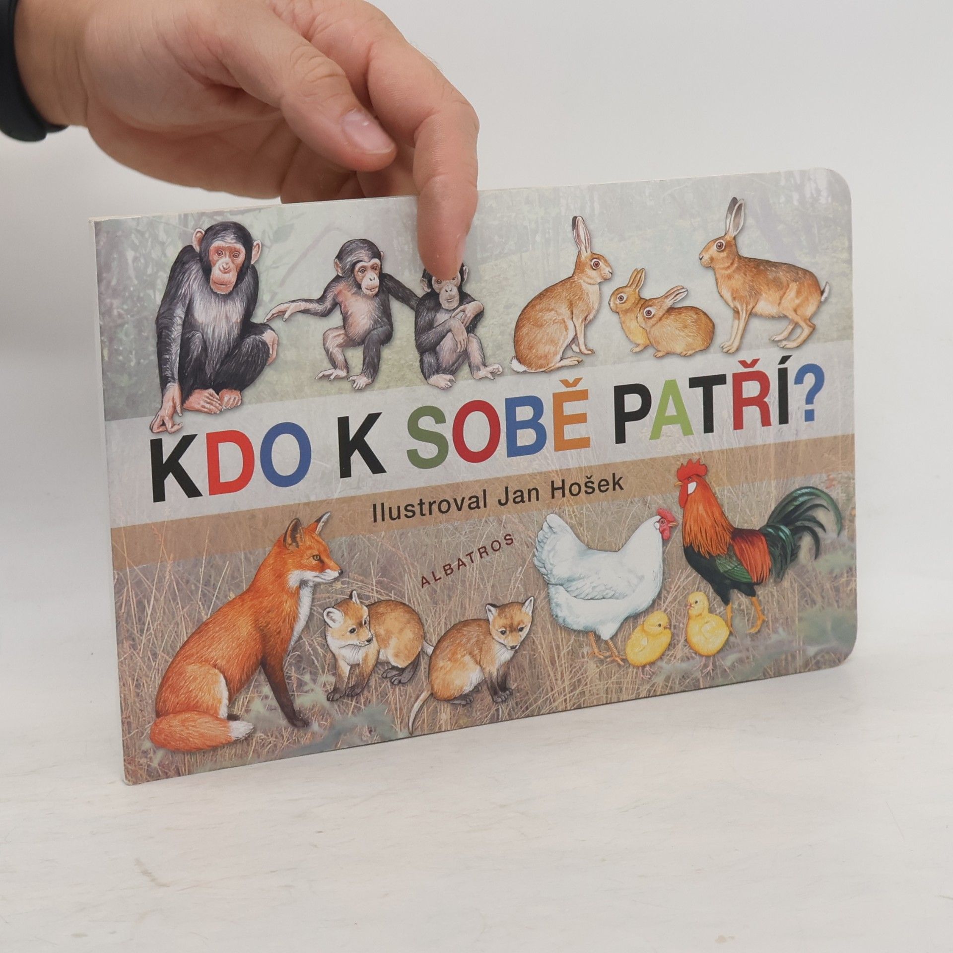 Jana Mikulecká Kdo k sobě patří
