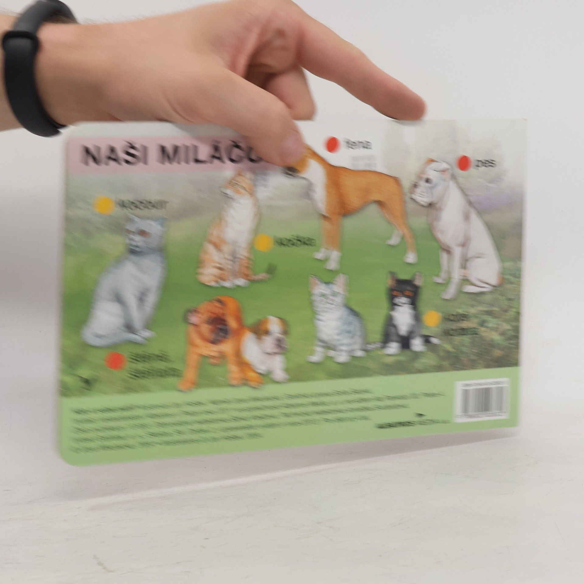 Jana Mikulecká Kdo k sobě patří