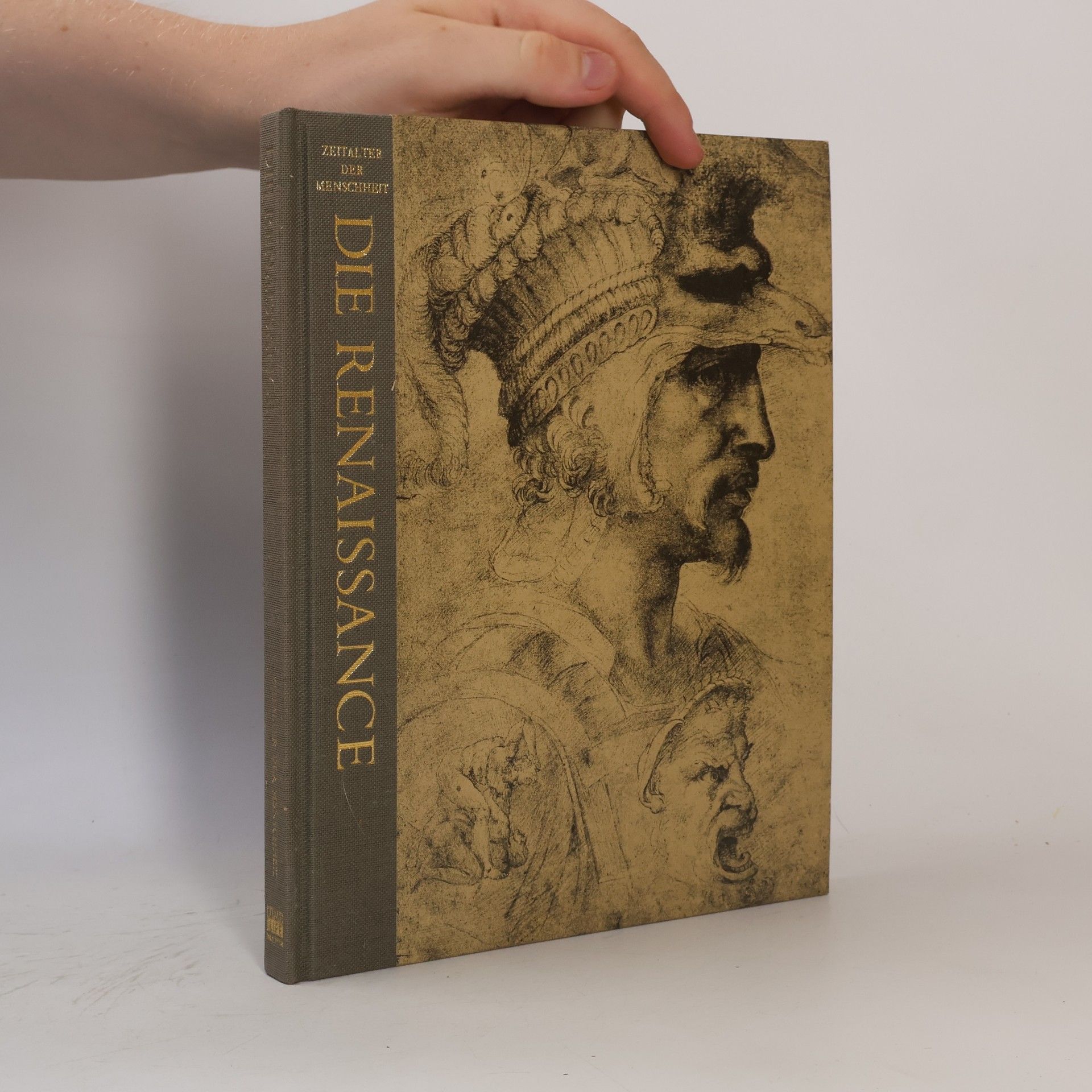 John Hale Die Renaissance