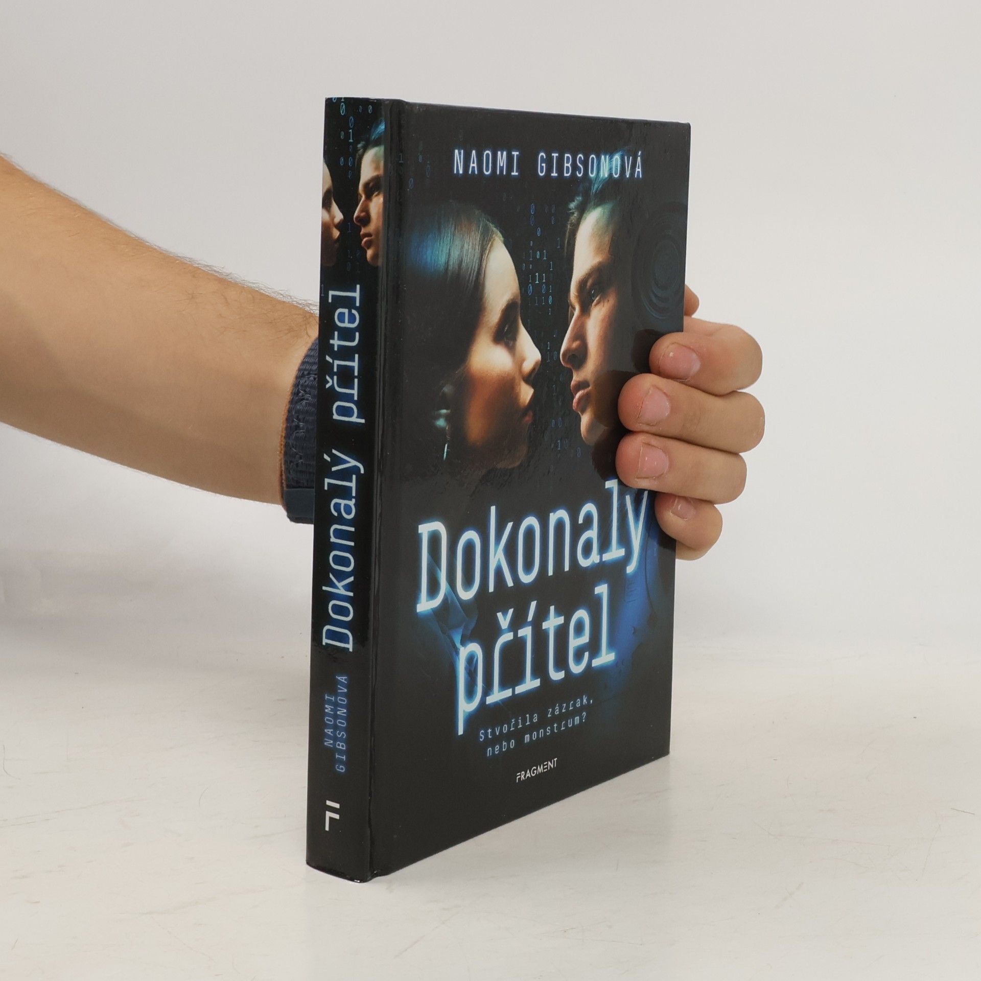 Naomi Gibson Dokonalý přítel