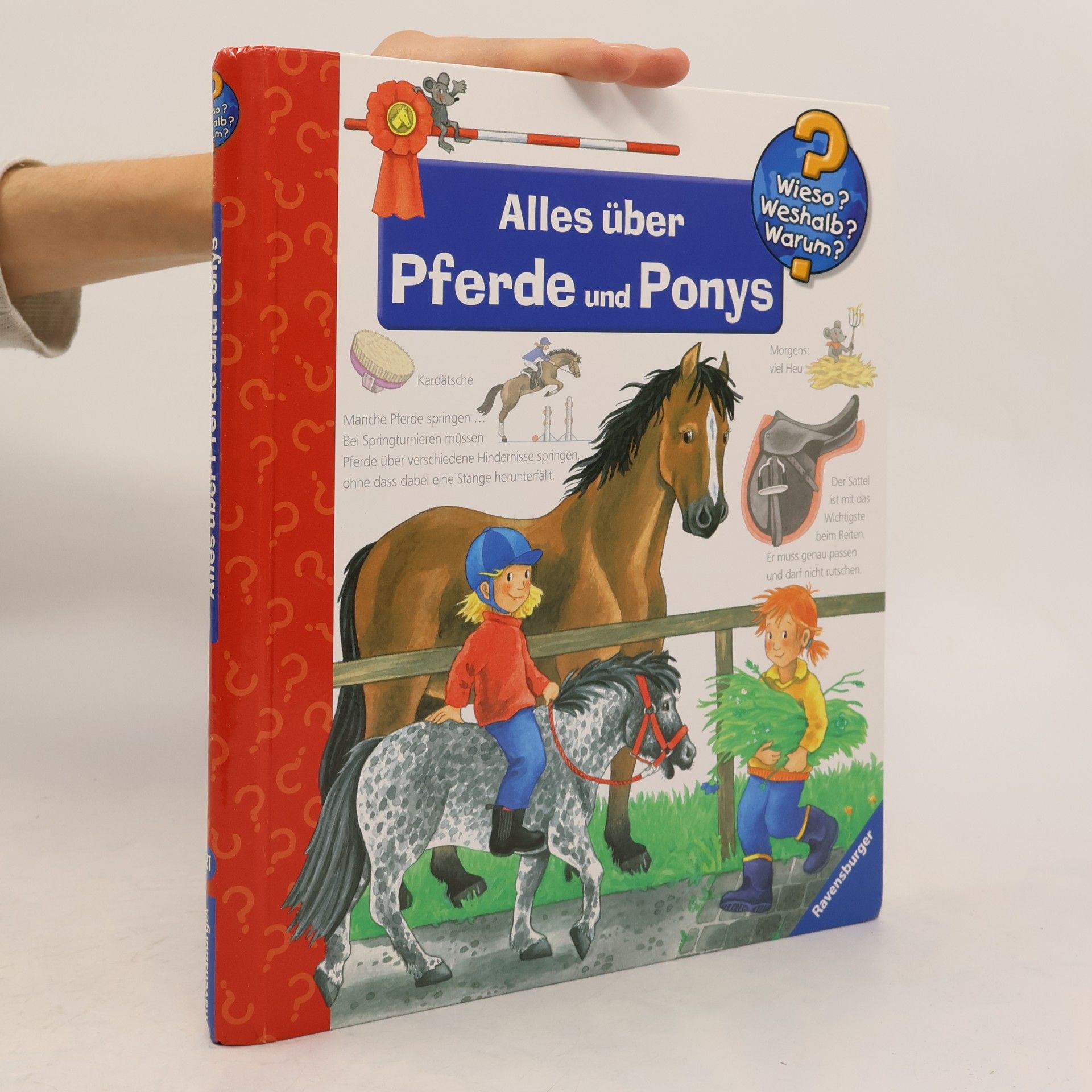 Andrea Erne Alles über Pferde und Ponys