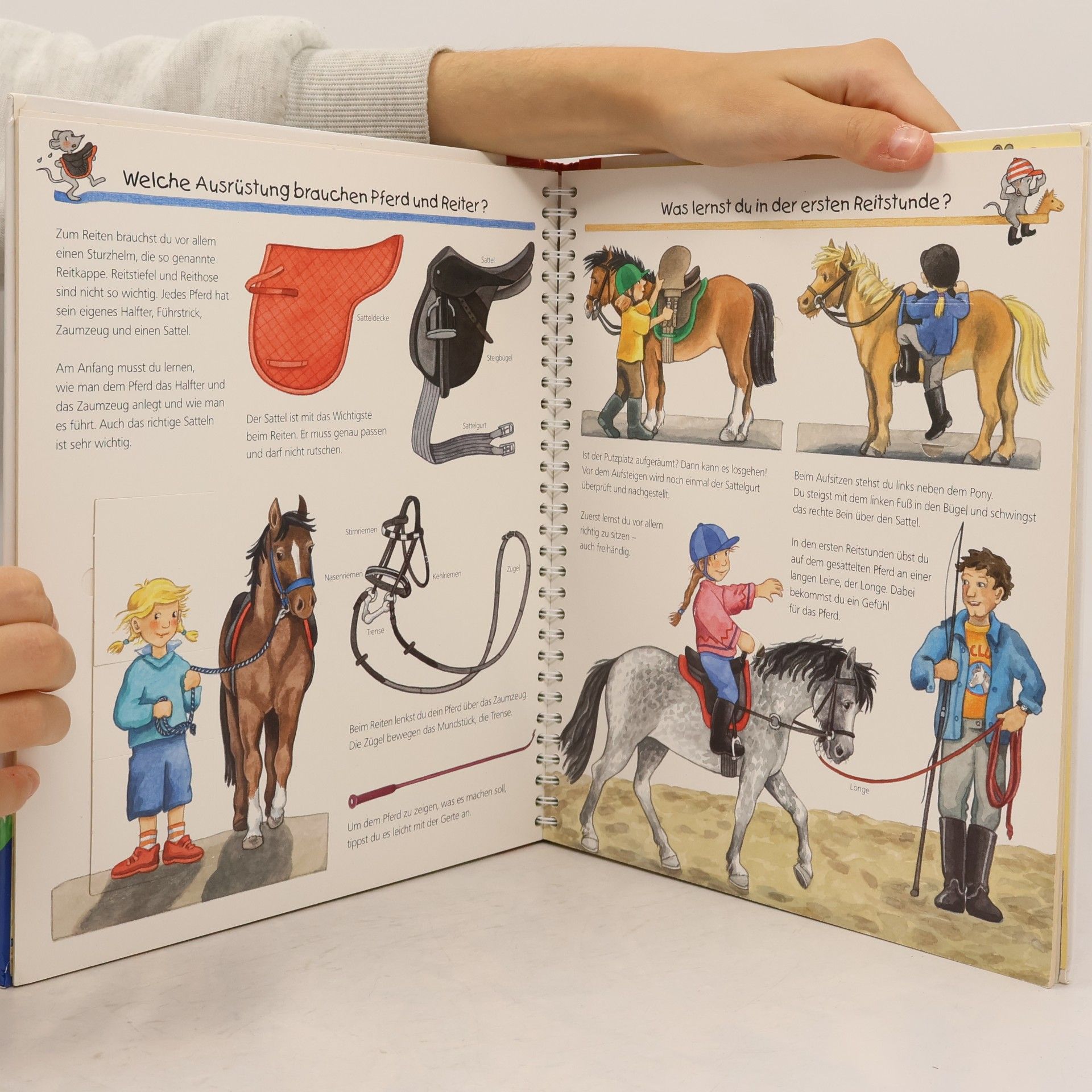 Andrea Erne Alles über Pferde und Ponys