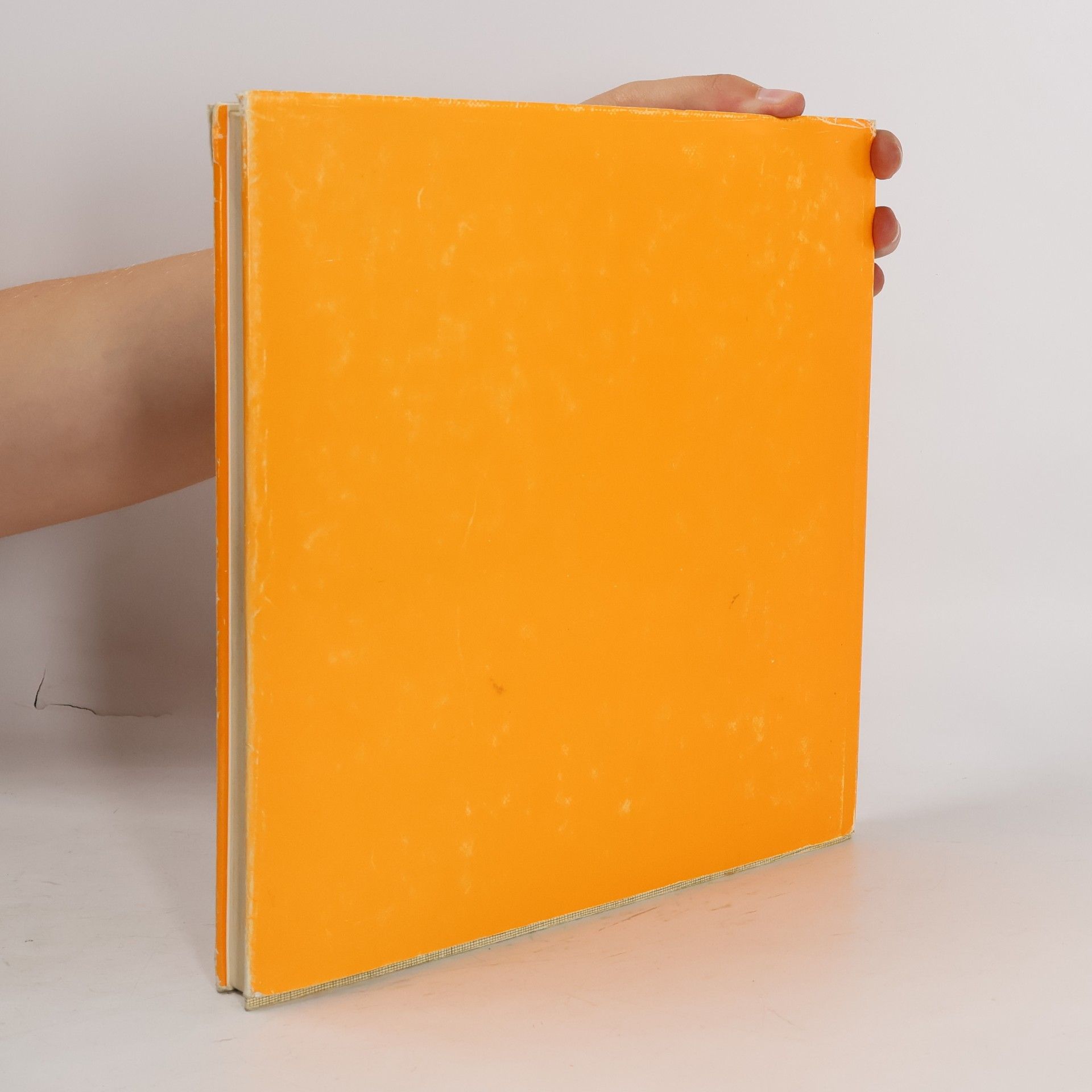 Autorenkollektiv Schlesische Holzbauten