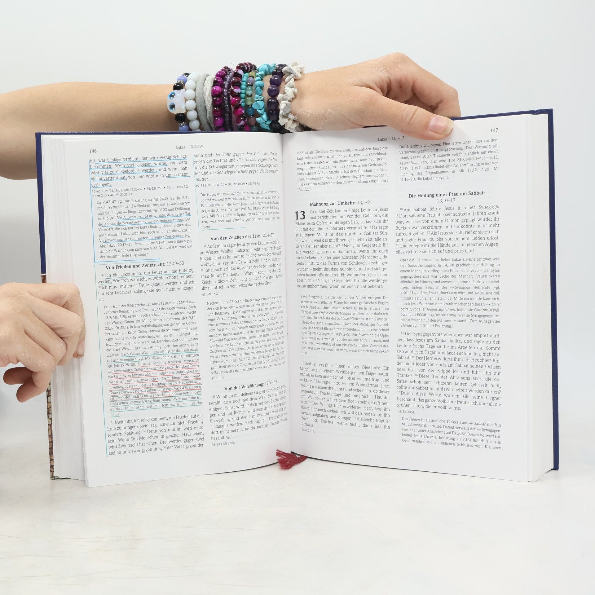 Collectif d'auteurs Stuttgarter Neues Testament