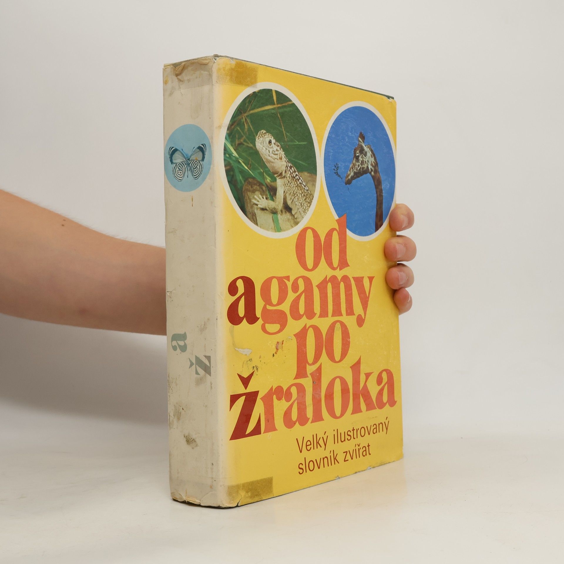 Autorenkollektiv Od agamy po žraloka. Velký ilustrovaný slovník zvířat