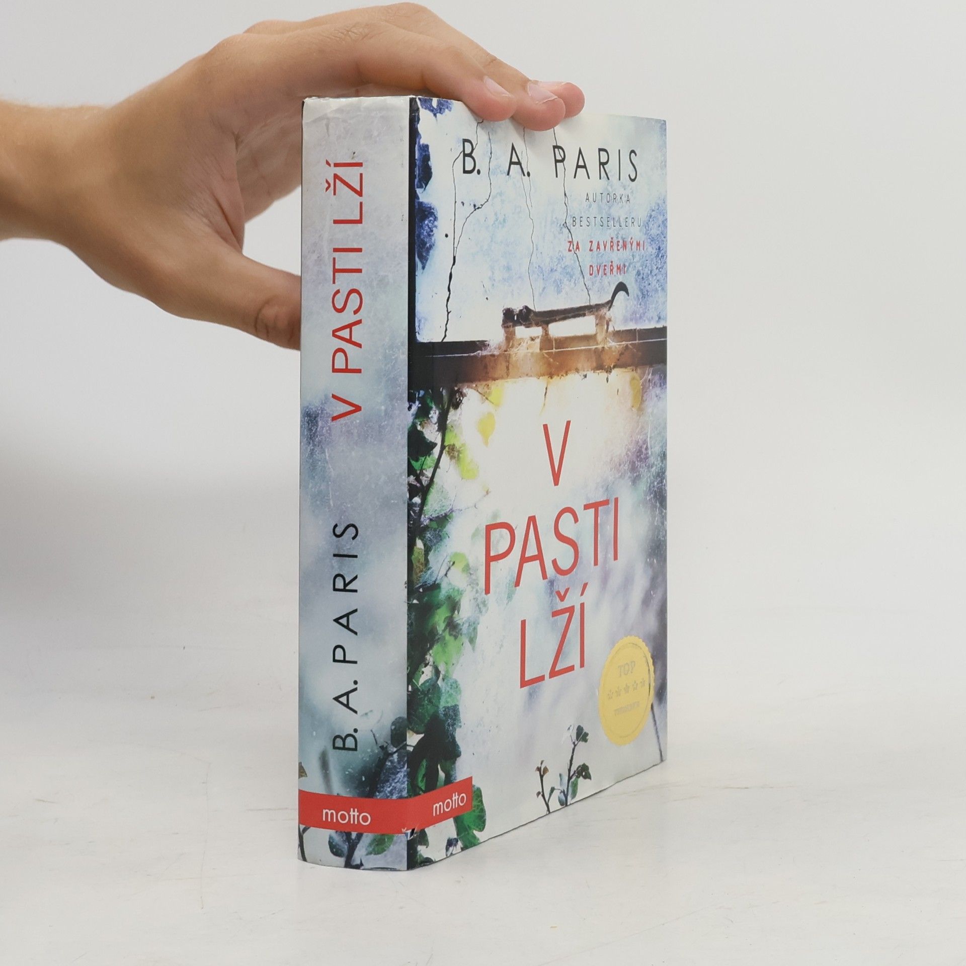 B.A. Paris V pasti lží