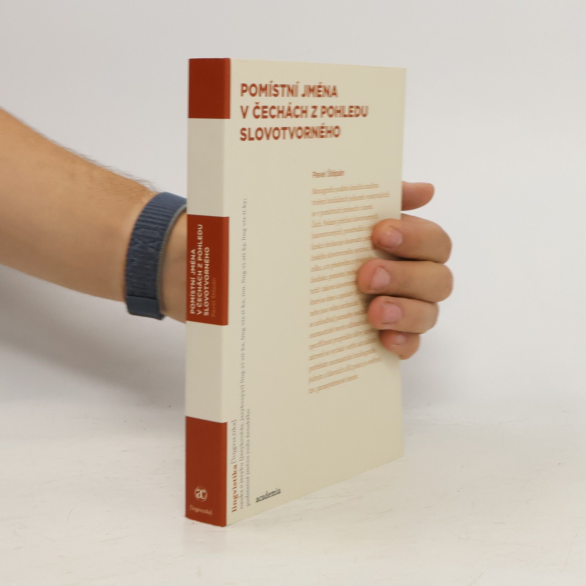Pomístní jména v Čechách z pohledu slovotvorného