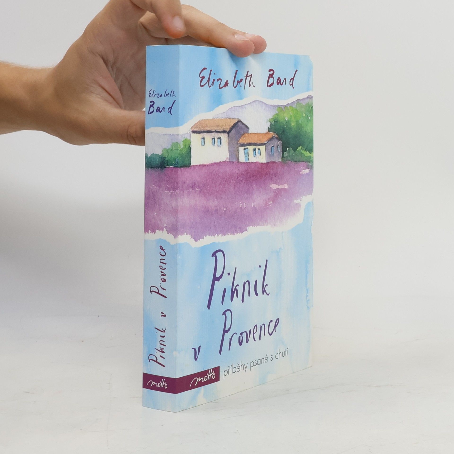 Elizabeth Bard Piknik v Provence