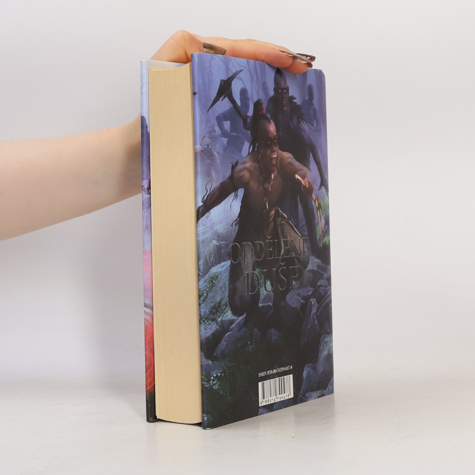 Terry Goodkind Oddělené duše