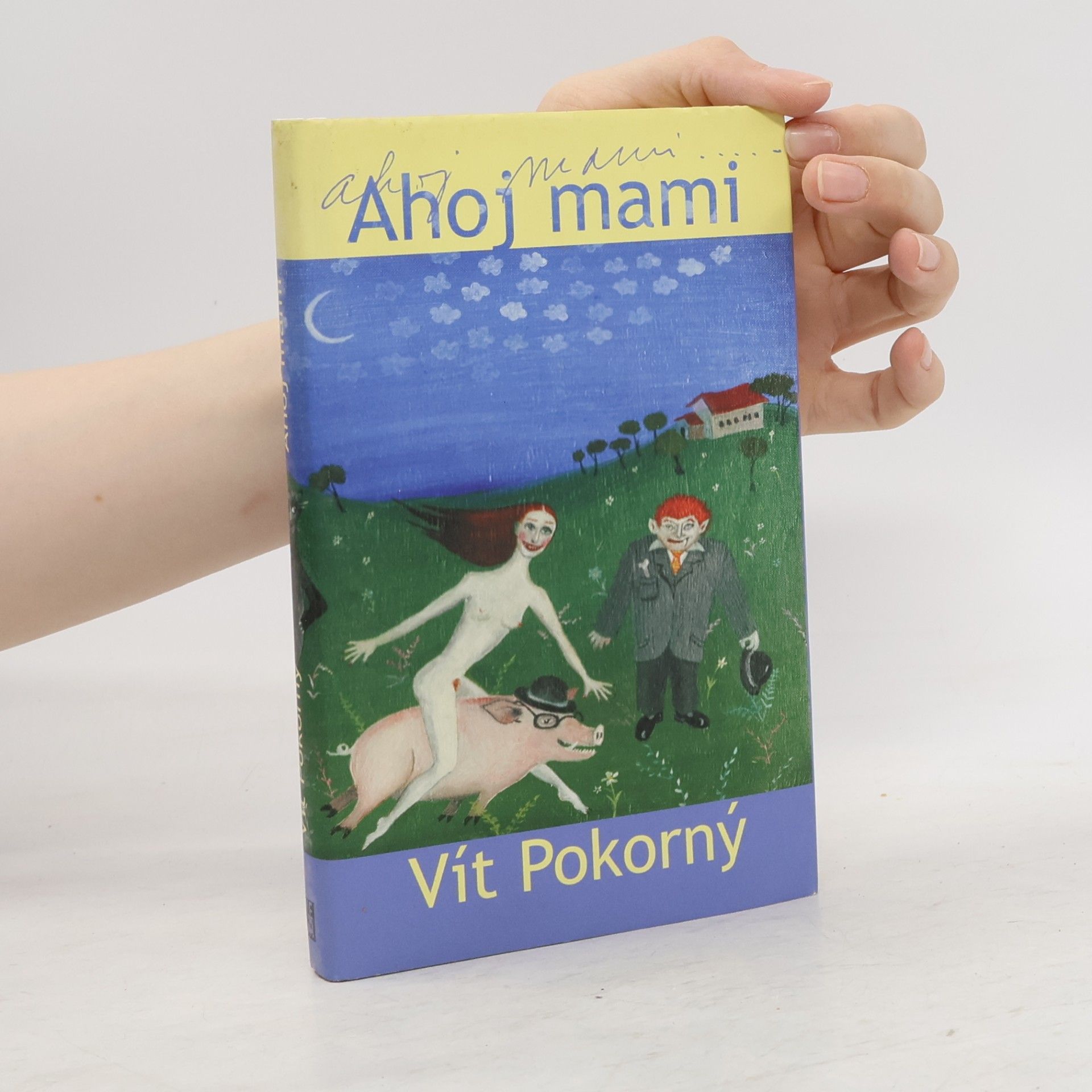 Vít Pokorný Ahoj mami