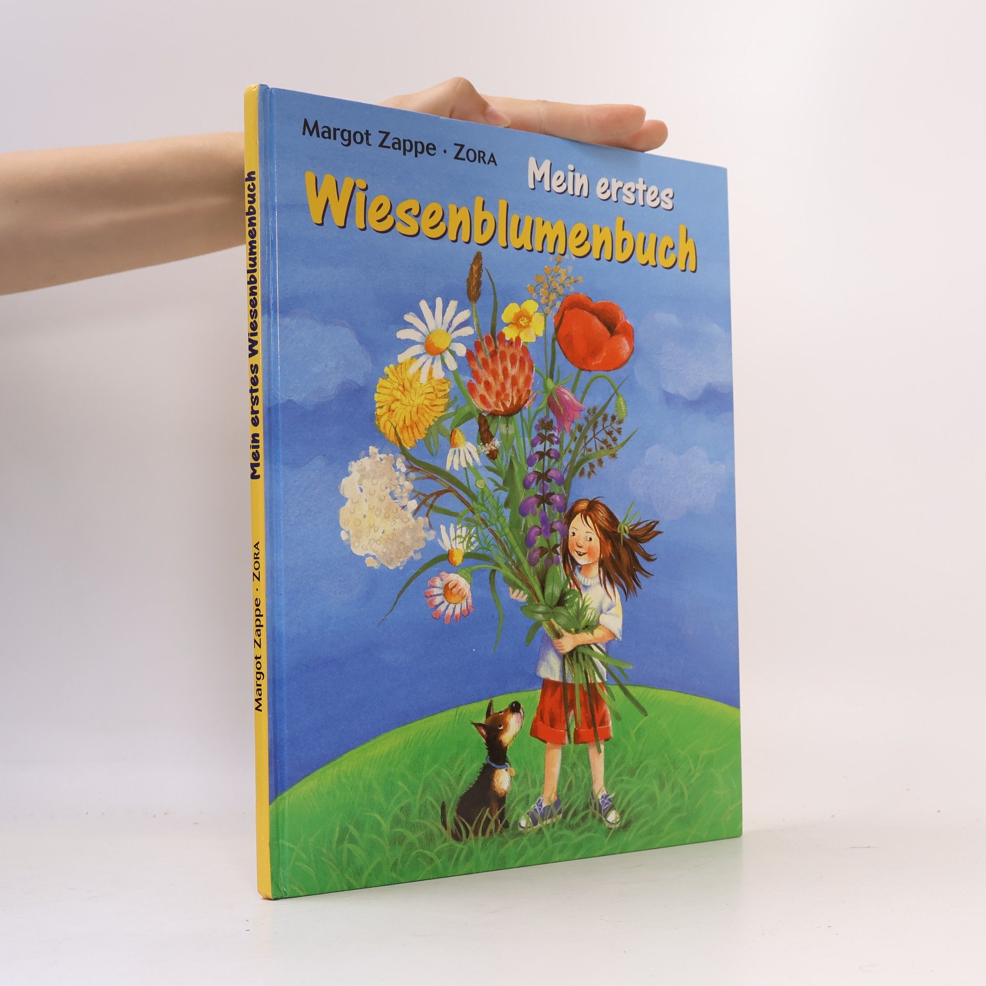 Margot Zappe Mein erstes Wiesenblumenbuch
