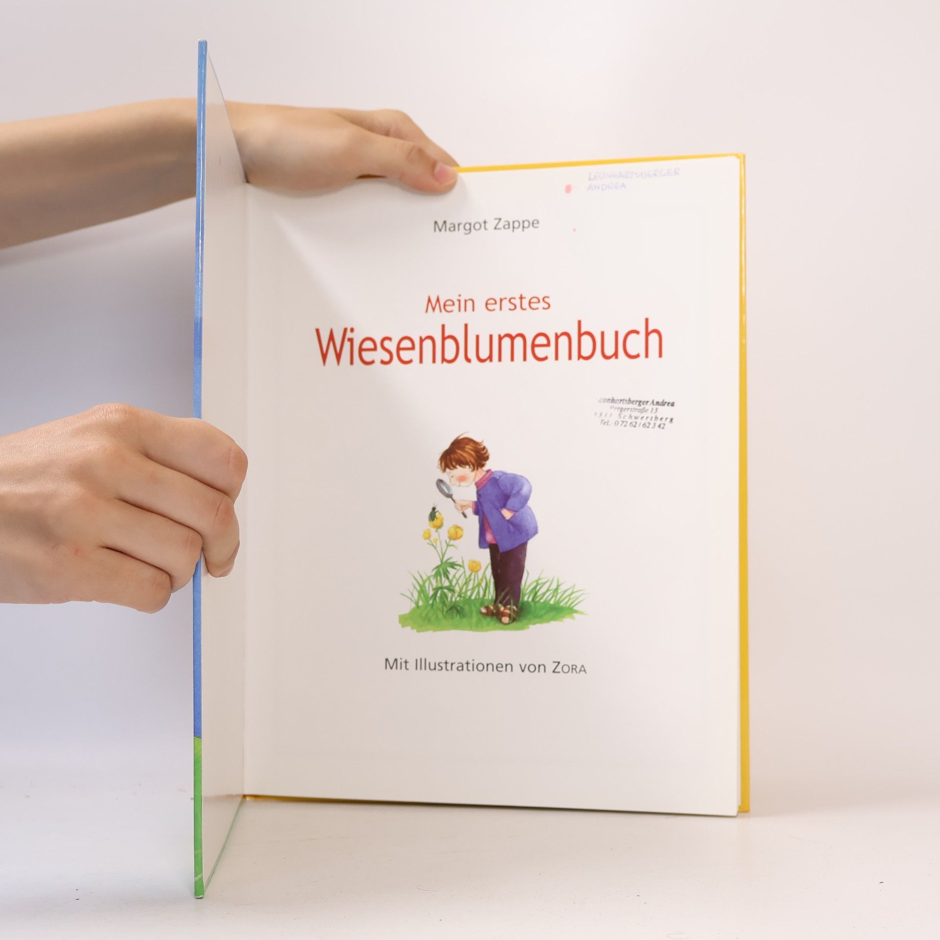 Margot Zappe Mein erstes Wiesenblumenbuch