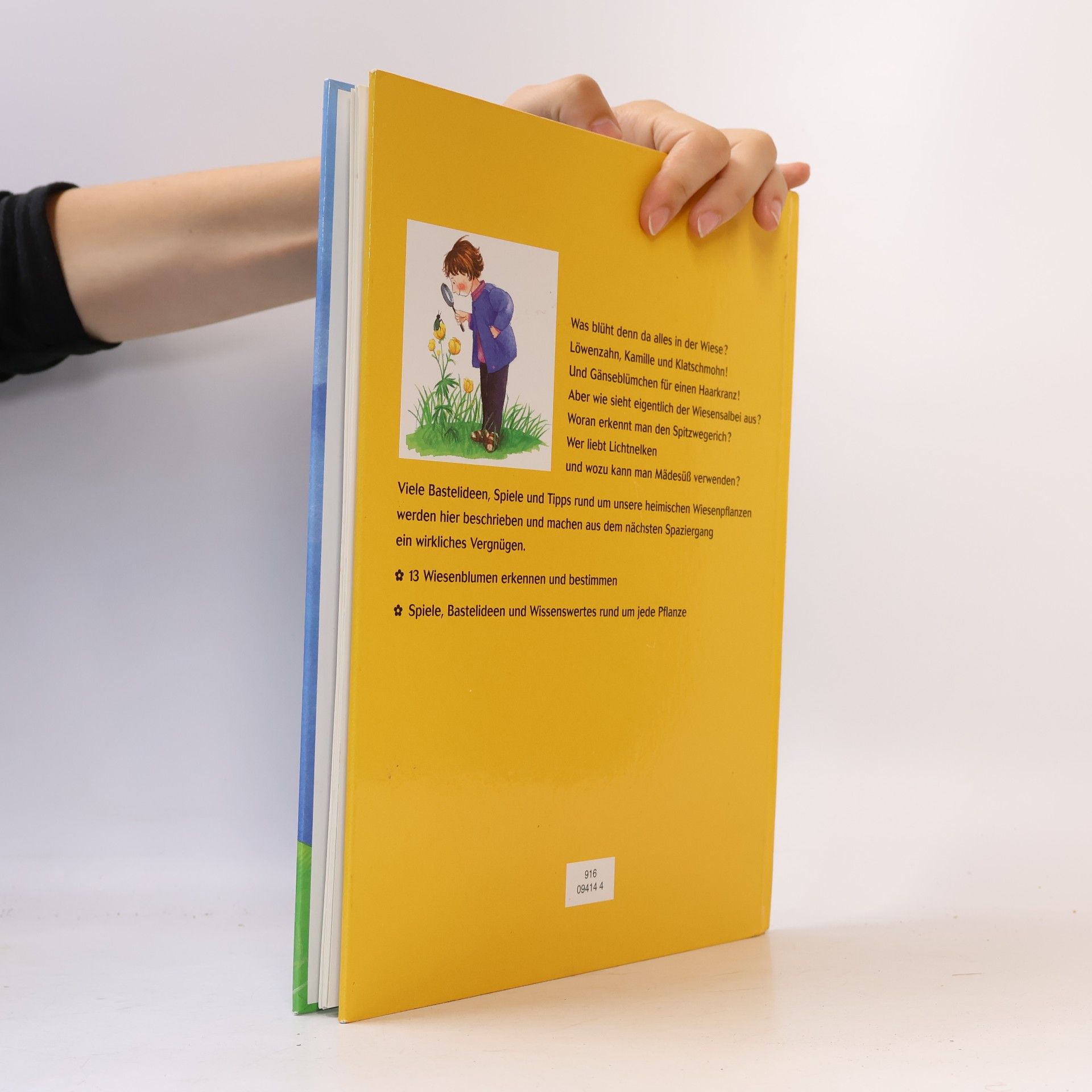 Margot Zappe Mein erstes Wiesenblumenbuch