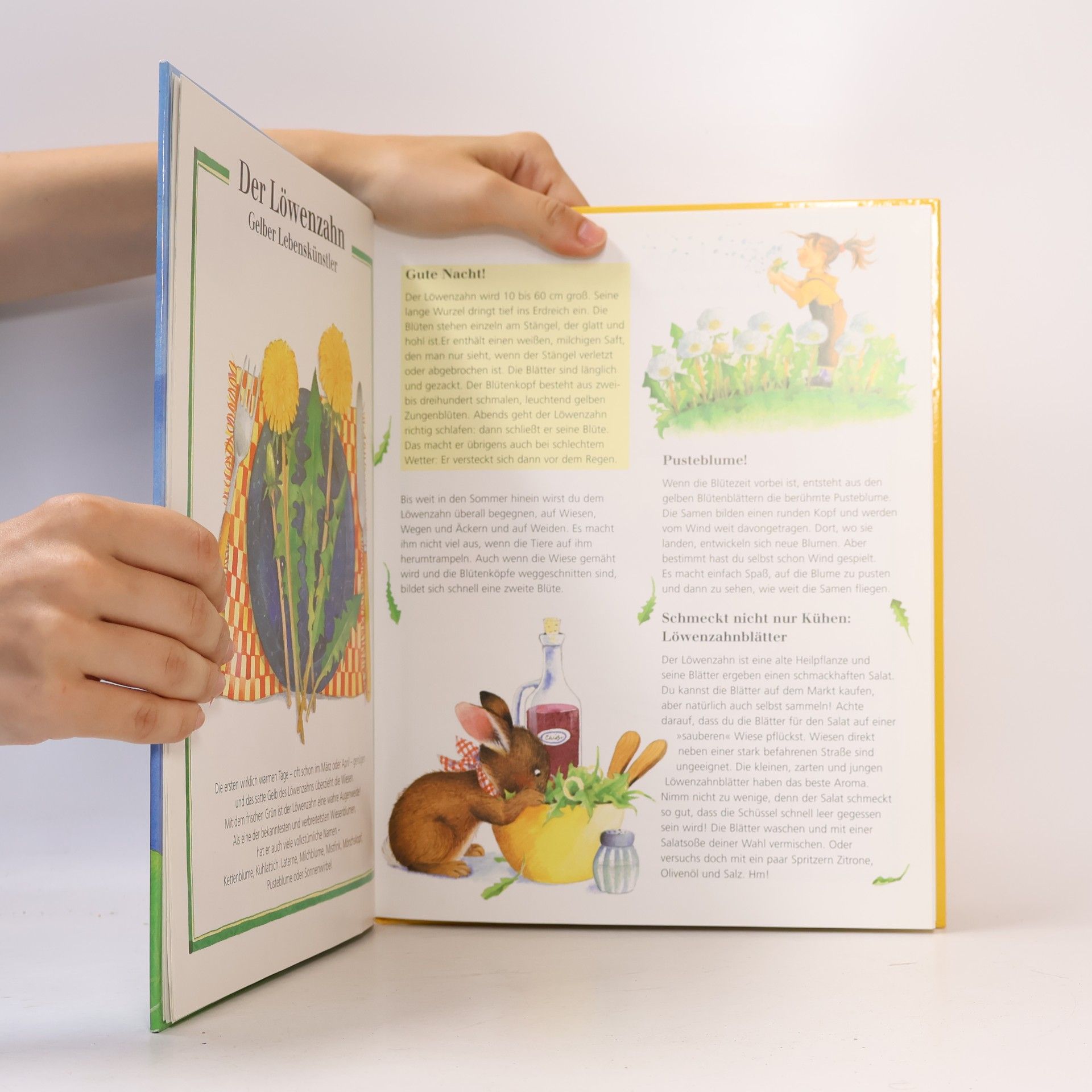 Margot Zappe Mein erstes Wiesenblumenbuch
